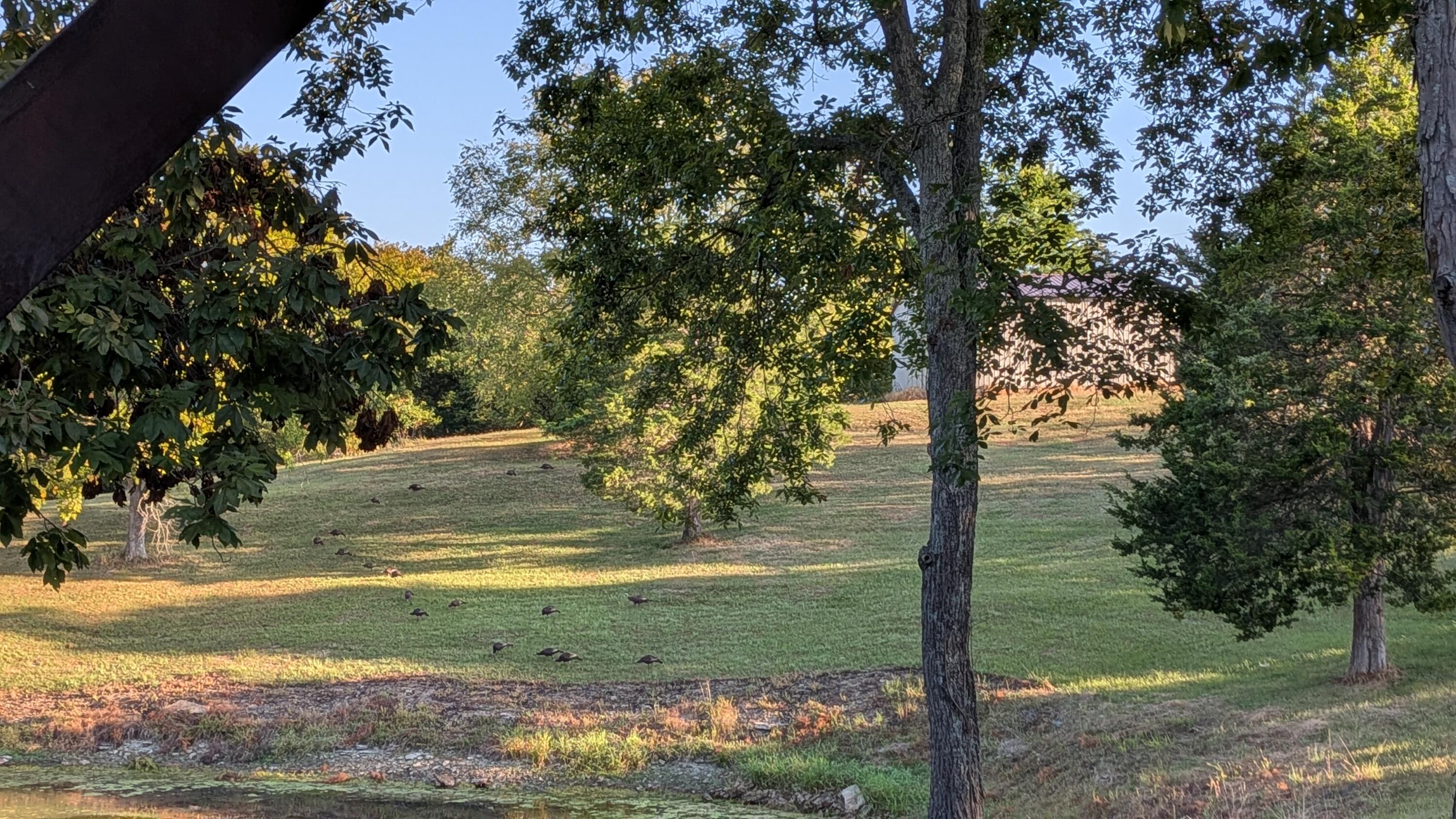 863 Mink Run Road Frankfort, KY 40601 - Photo 54 of 58 PXL_20250912_123351028