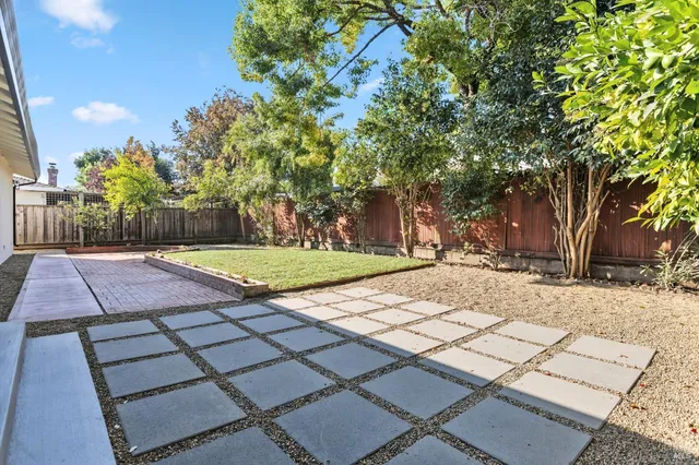 a view of a yard with plants and trees