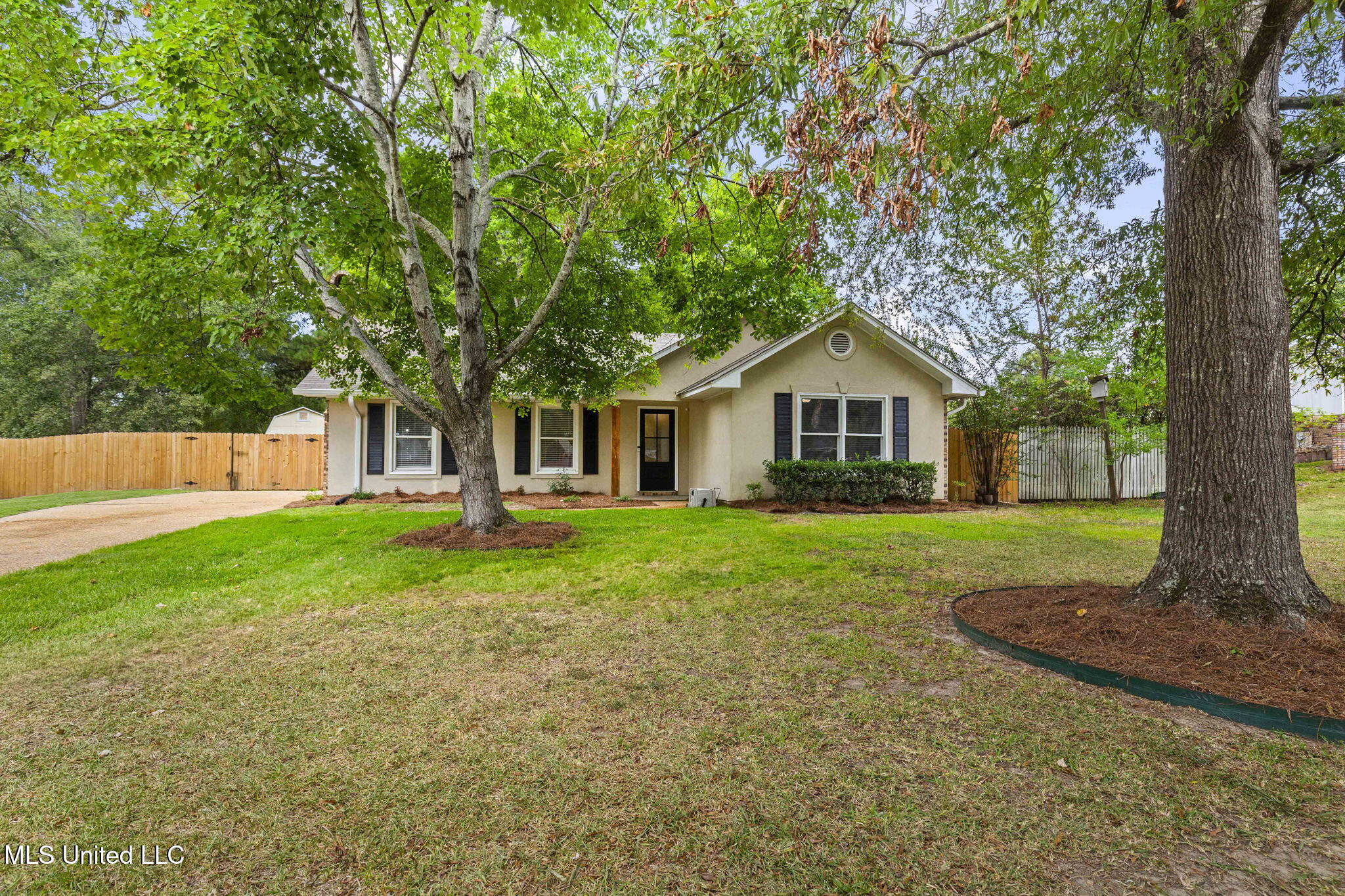 1-web-or-mls-511 Olympic-3