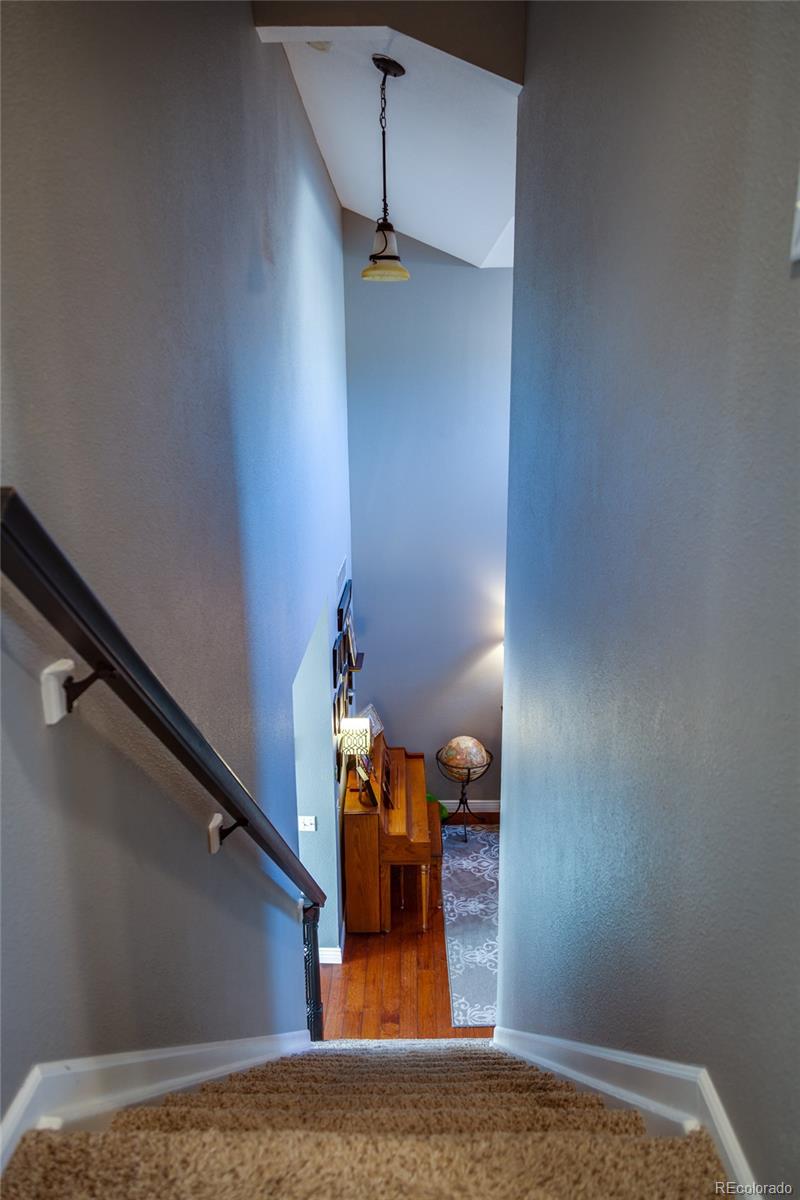 9049 Garnet Street Highlands Ranch, CO 80126 - Photo 13 of 27