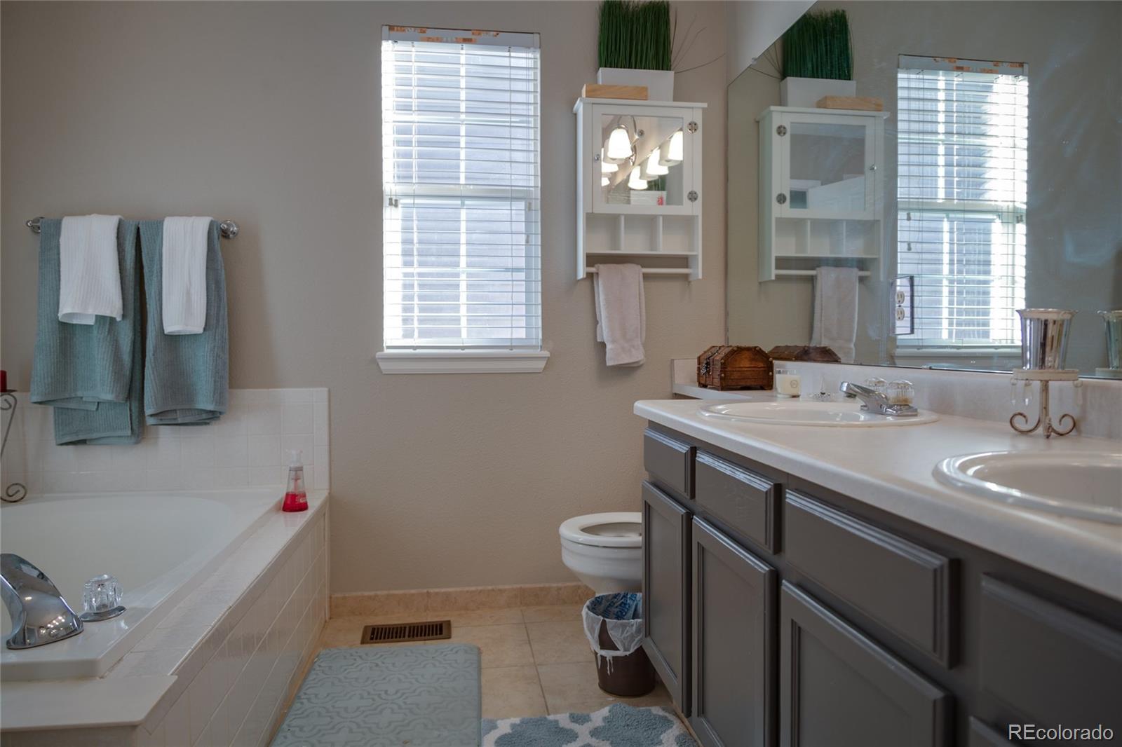 9049 Garnet Street Highlands Ranch, CO 80126 - Photo 17 of 27