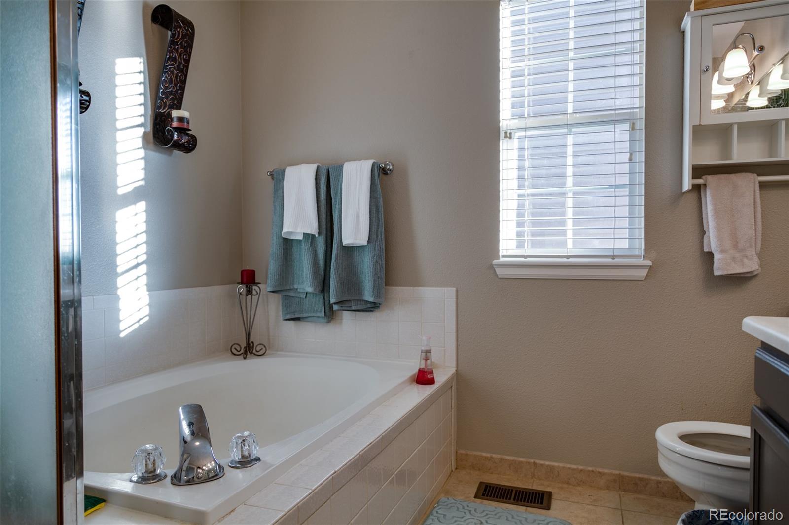 9049 Garnet Street Highlands Ranch, CO 80126 - Photo 18 of 27