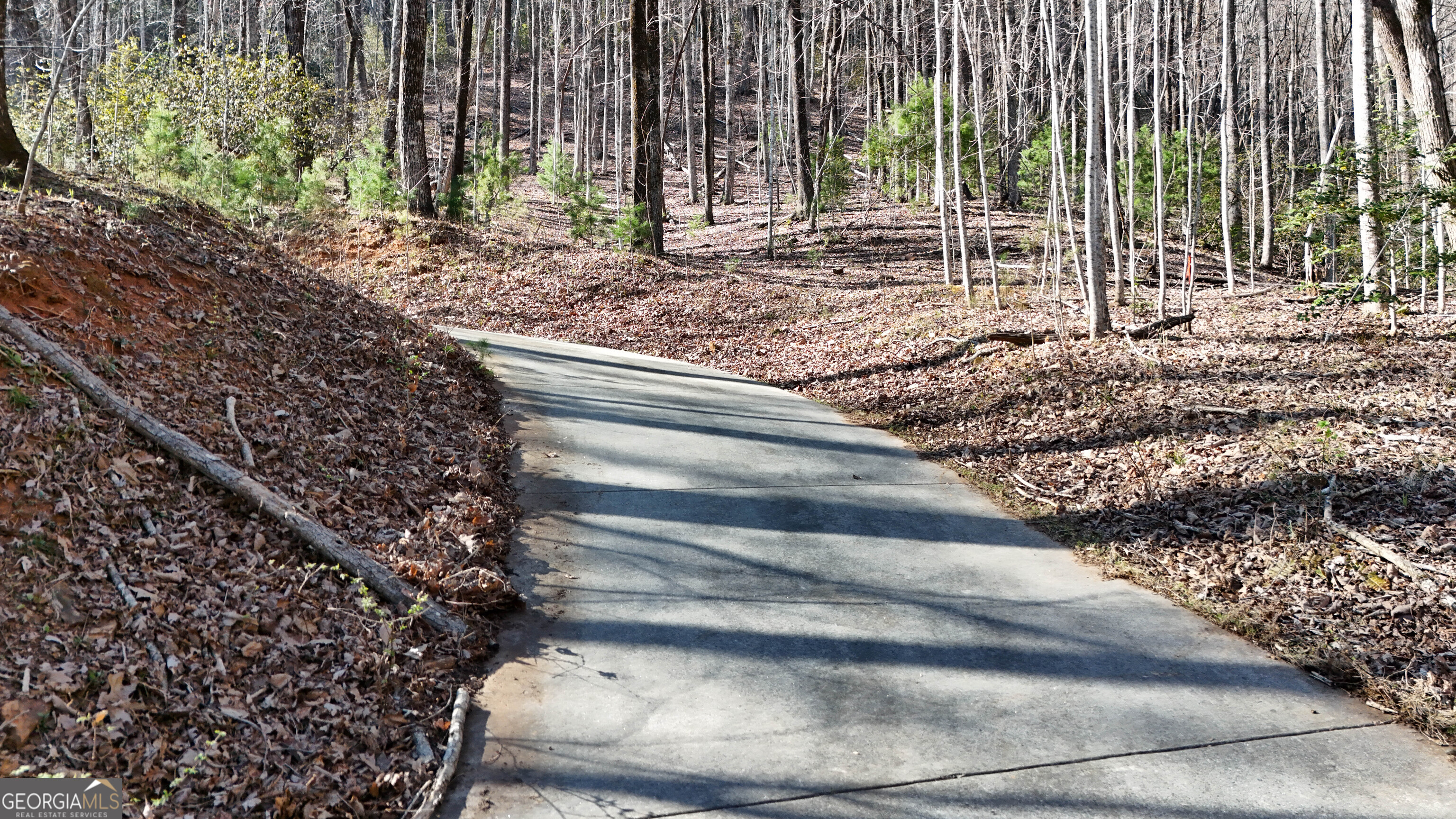 6 Chimney Mountain Road Sautee Nacoochee, GA 30571 - Photo 13 of 72