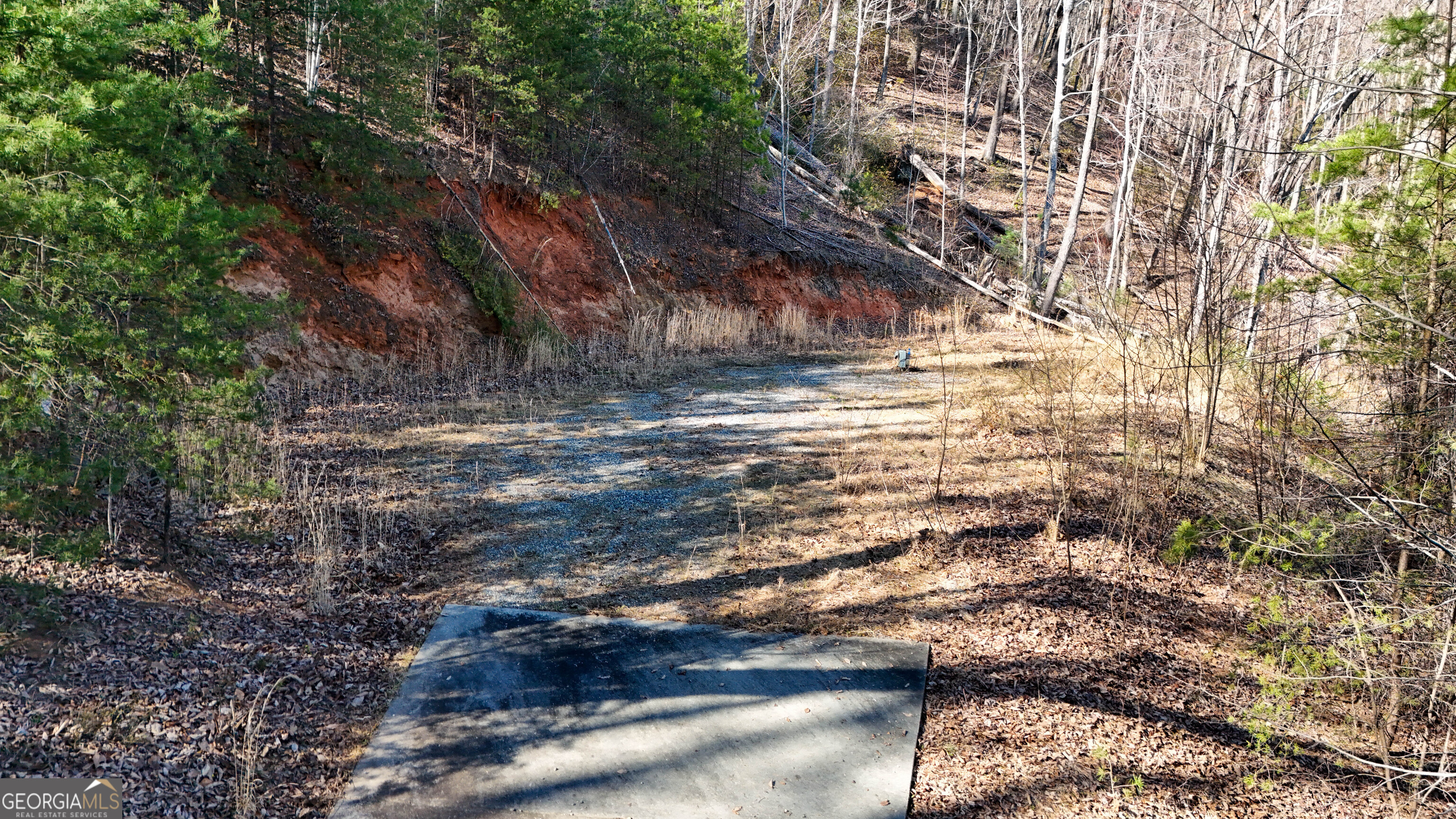 6 Chimney Mountain Road Sautee Nacoochee, GA 30571 - Photo 17 of 72 a view of yard with wooden fence