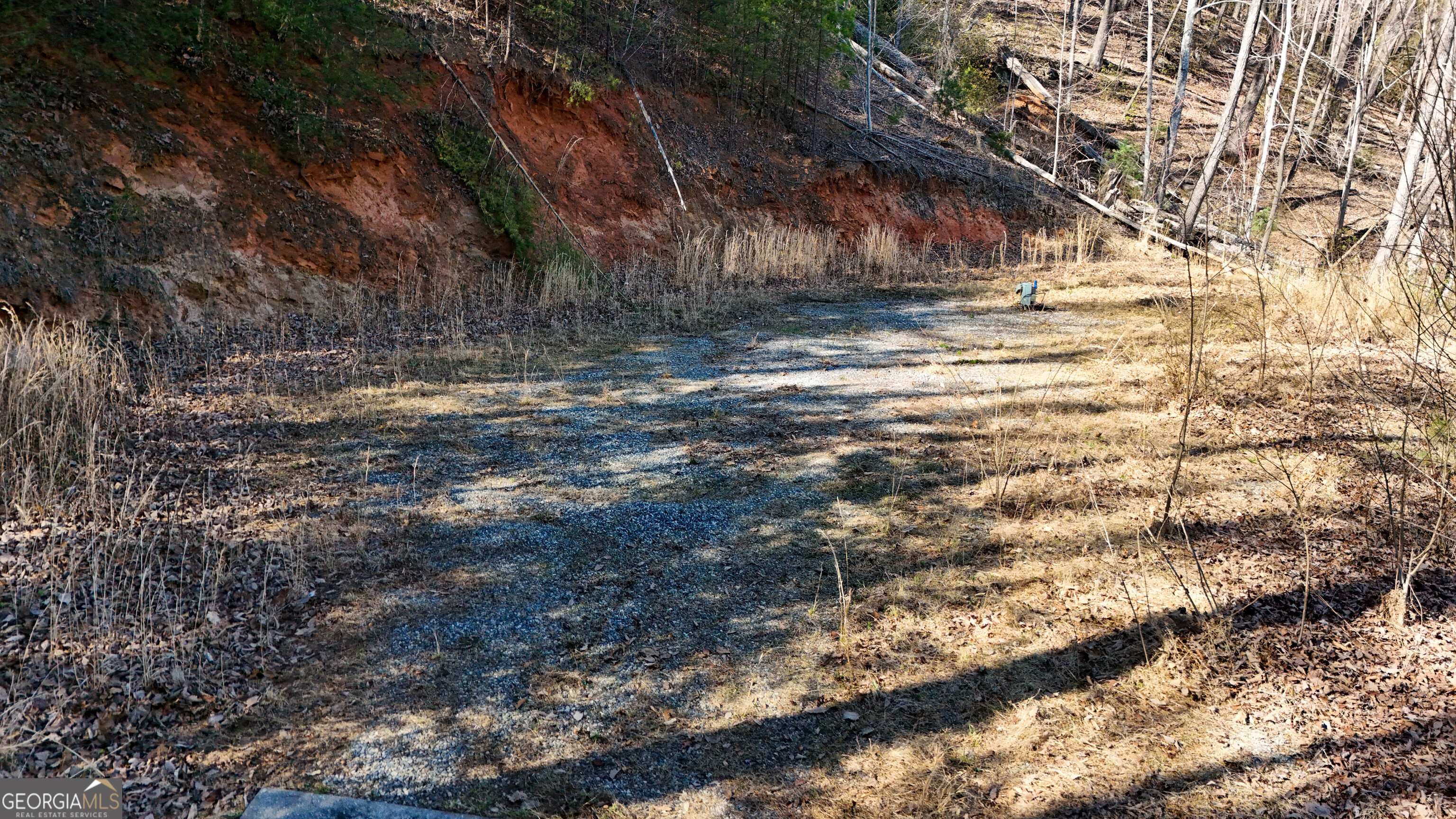 6 Chimney Mountain Road Sautee Nacoochee, GA 30571 - Photo 23 of 72 a view of a yard with trees