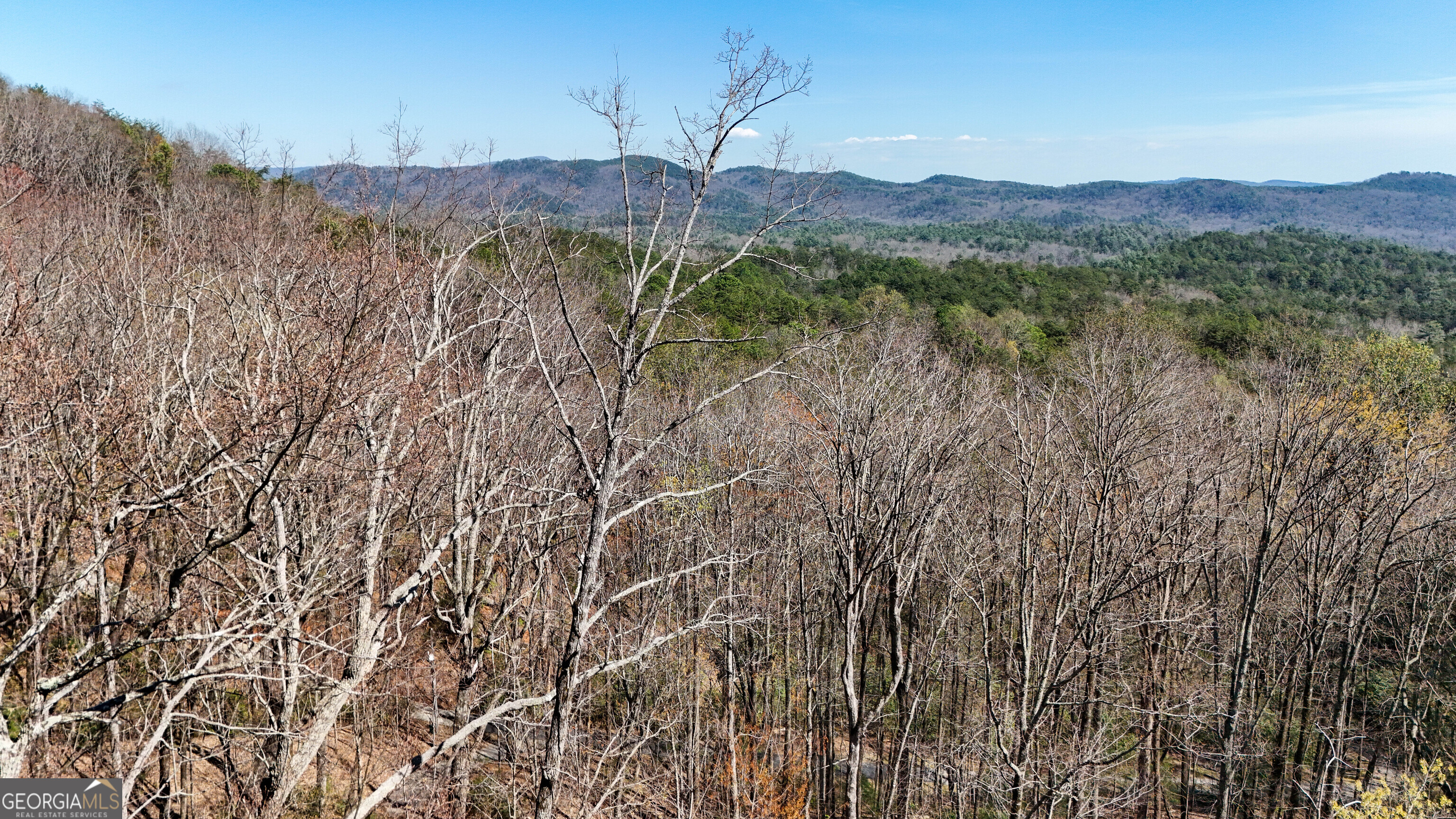 6 Chimney Mountain Road Sautee Nacoochee, GA 30571 - Photo 27 of 72 a view of a lush green forest with mountains in the background