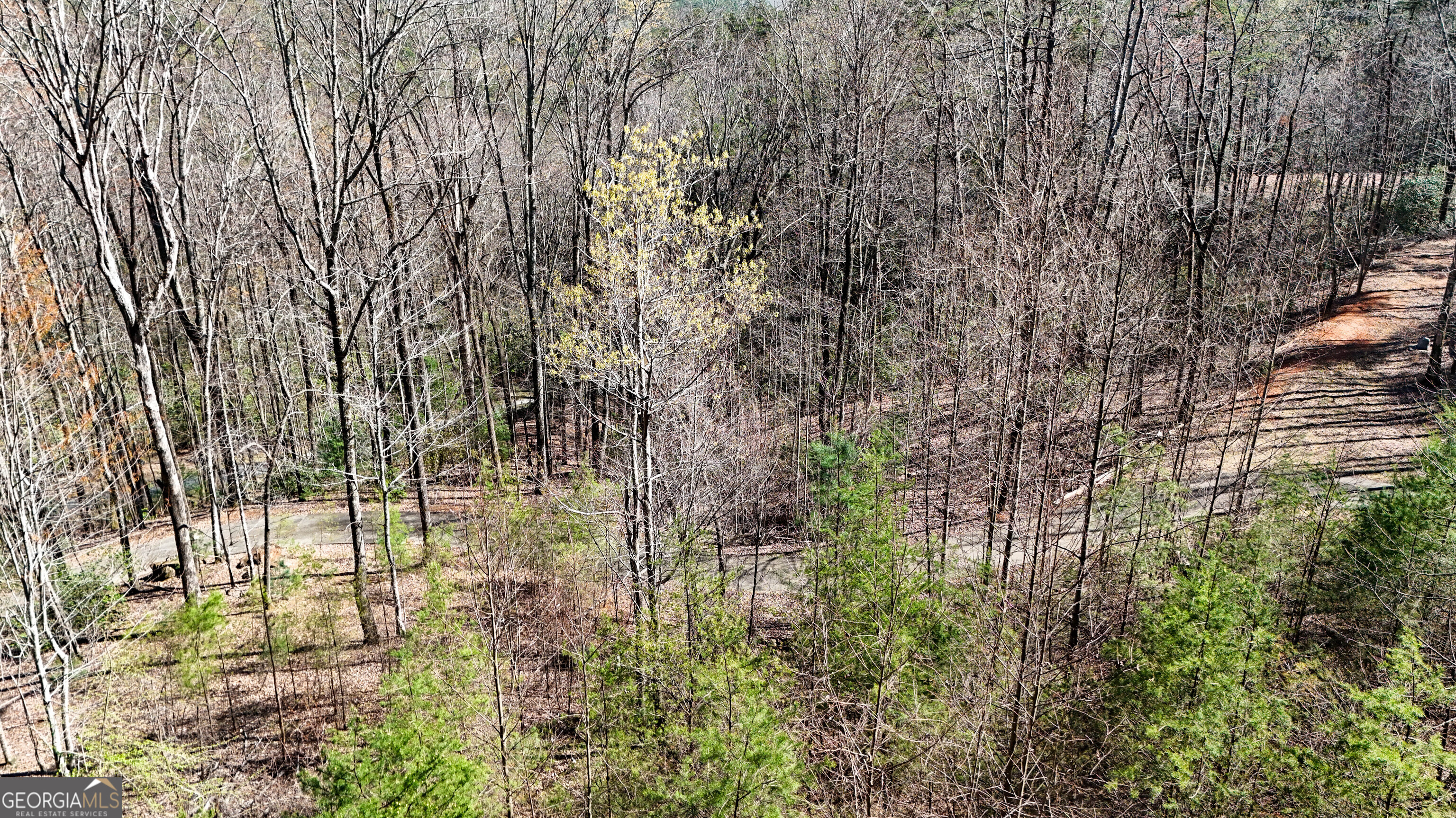 6 Chimney Mountain Road Sautee Nacoochee, GA 30571 - Photo 33 of 72