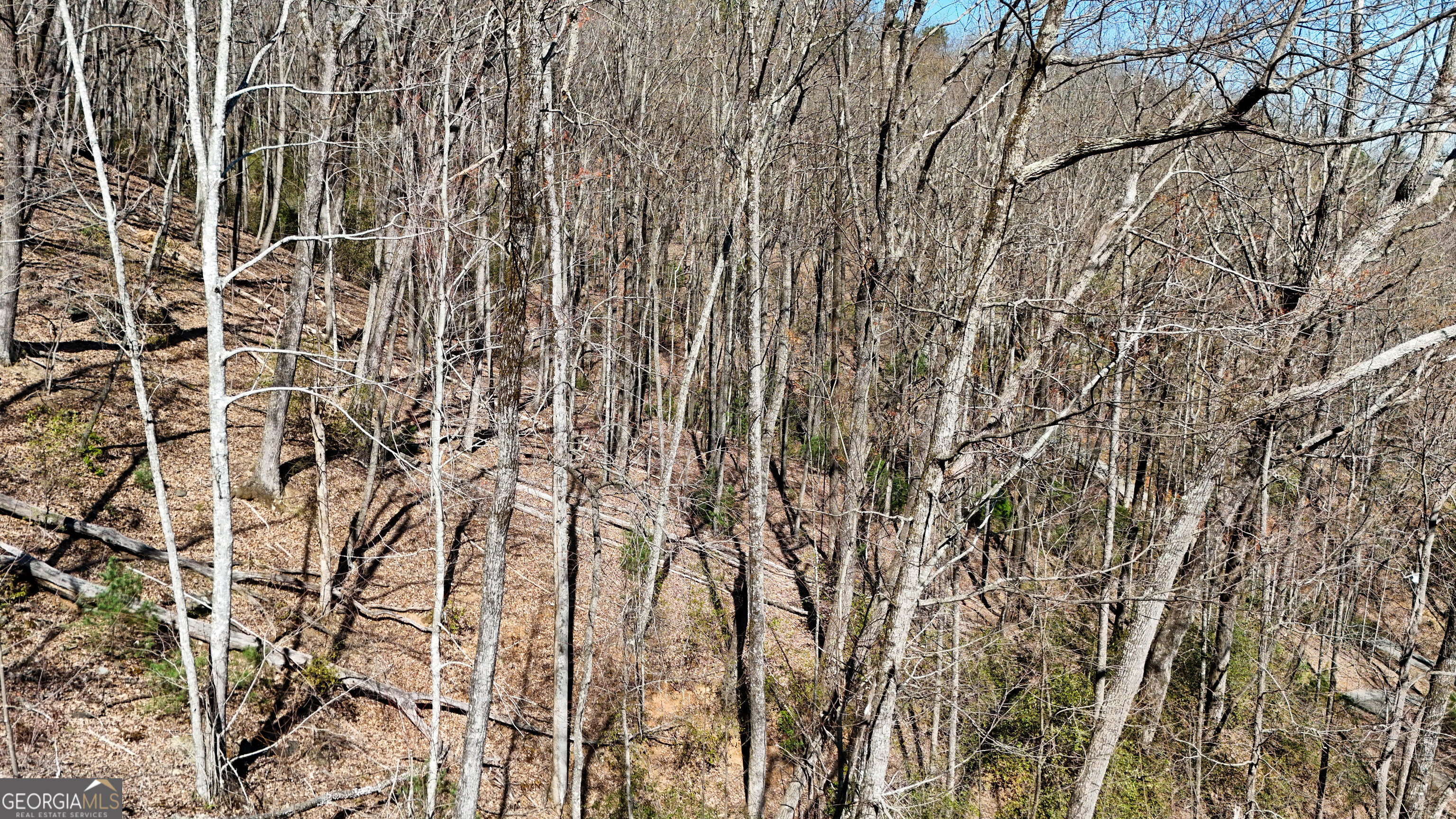 6 Chimney Mountain Road Sautee Nacoochee, GA 30571 - Photo 34 of 72