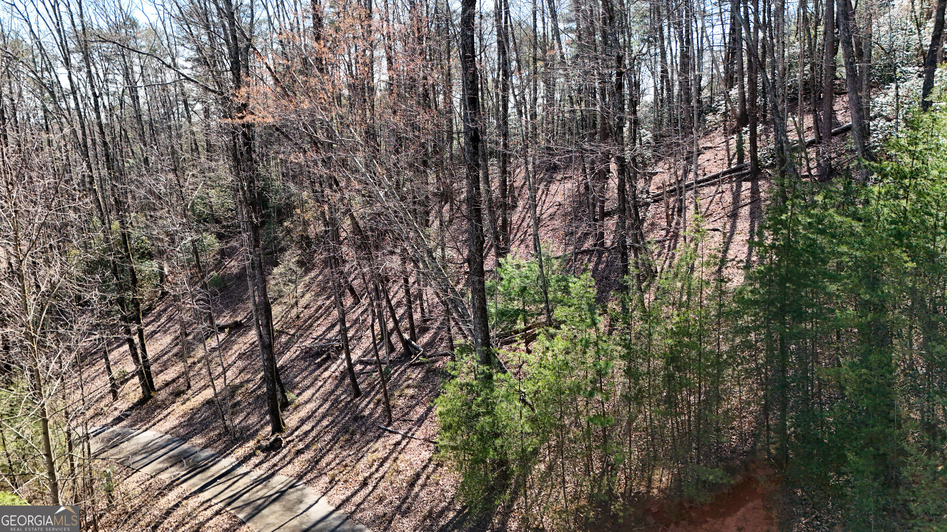 6 Chimney Mountain Road Sautee Nacoochee, GA 30571 - Photo 35 of 72
