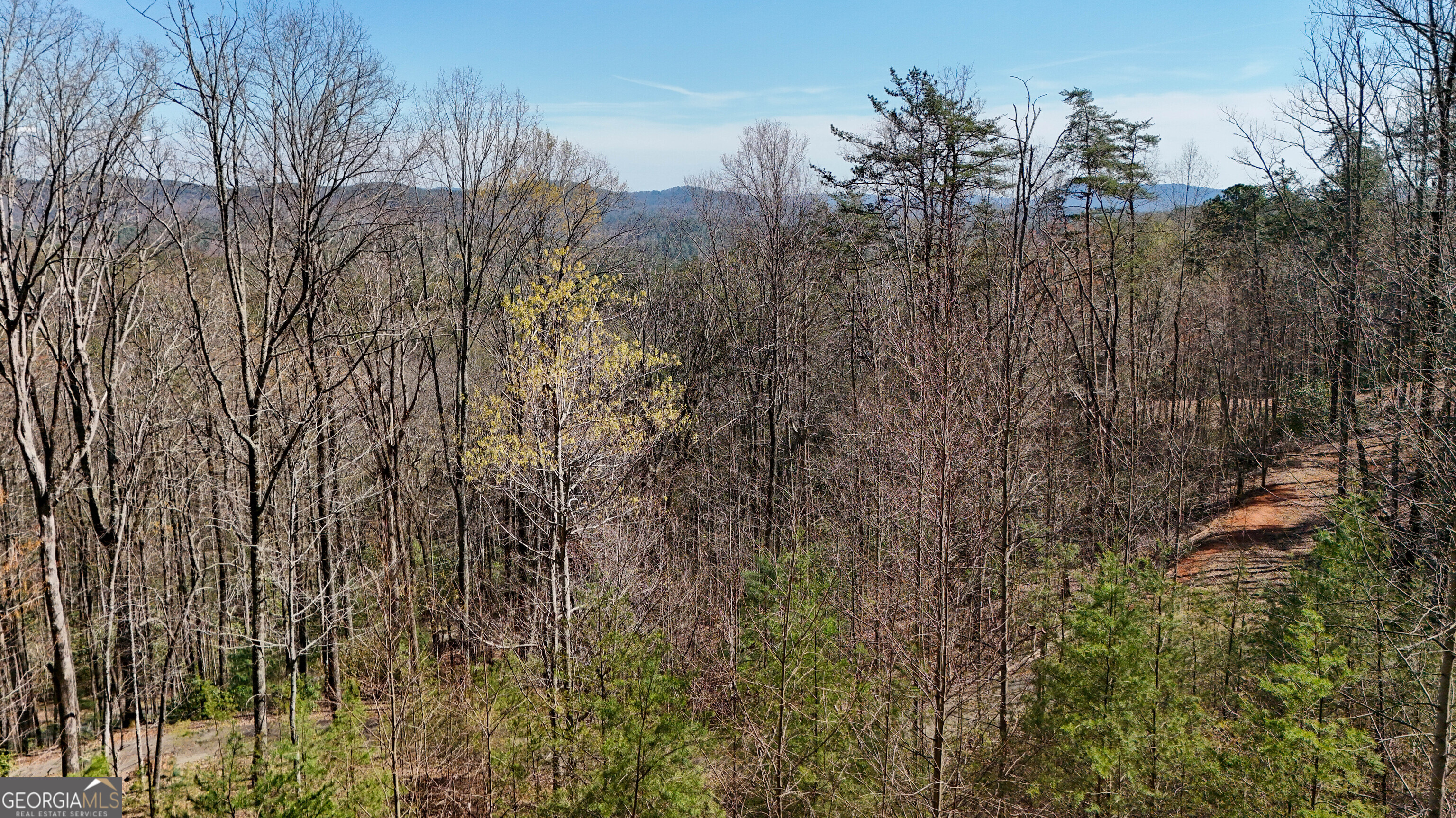 6 Chimney Mountain Road Sautee Nacoochee, GA 30571 - Photo 38 of 72 a view of a city with lush green forest