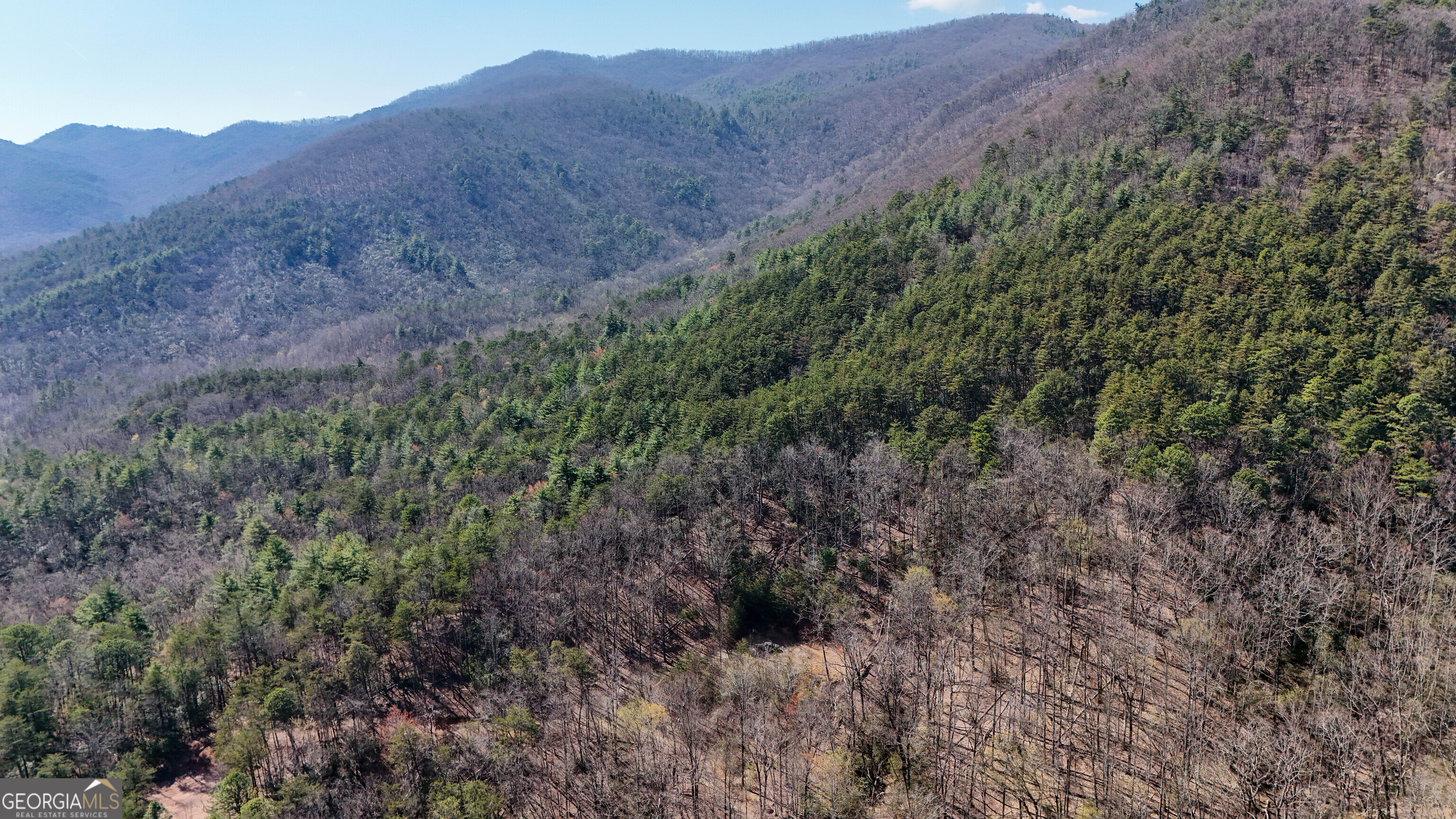 6 Chimney Mountain Road Sautee Nacoochee, GA 30571 - Photo 44 of 72 a view of a dry yard