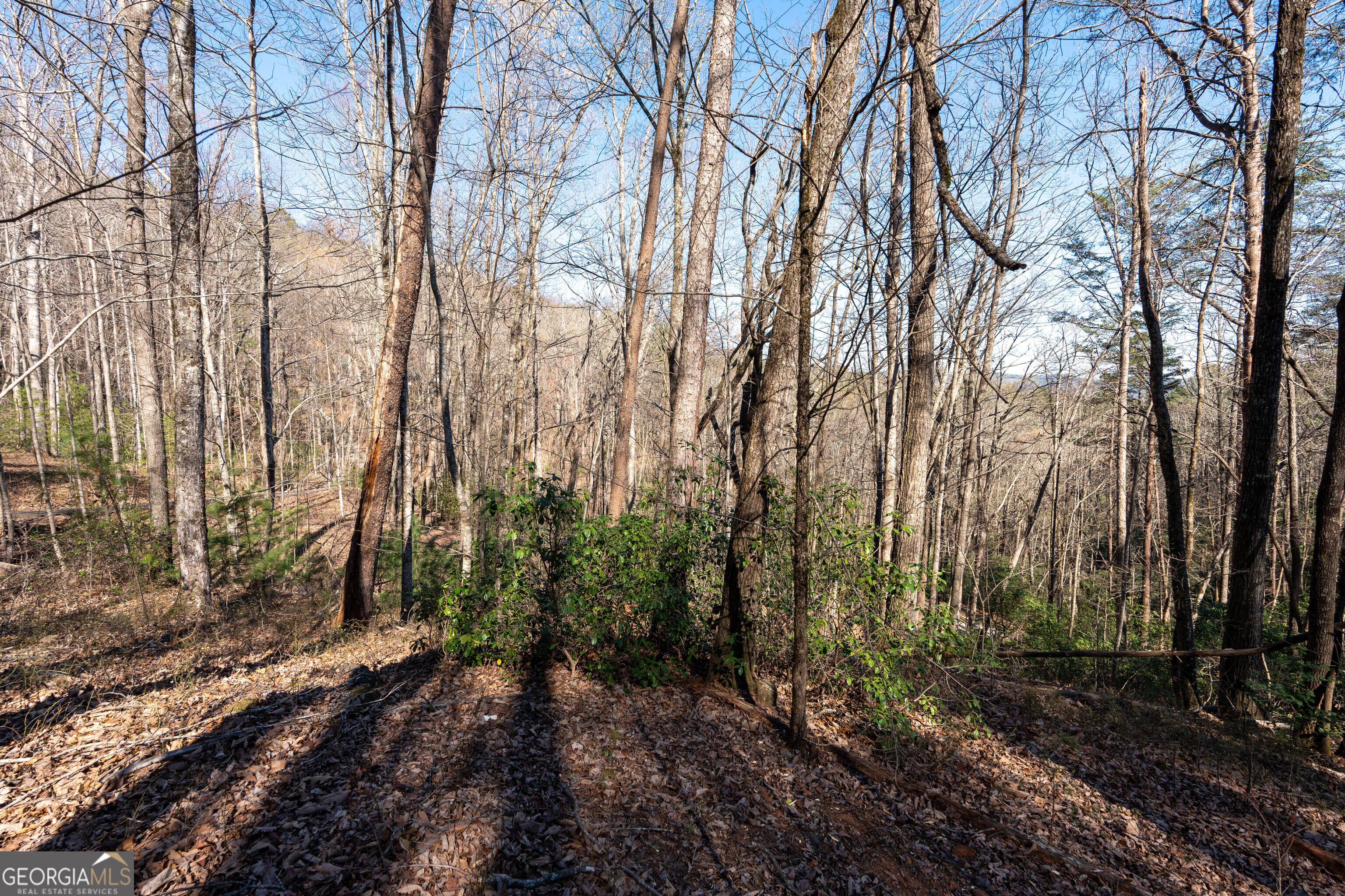 6 Chimney Mountain Road Sautee Nacoochee, GA 30571 - Photo 46 of 72 a view of a backyard of the house