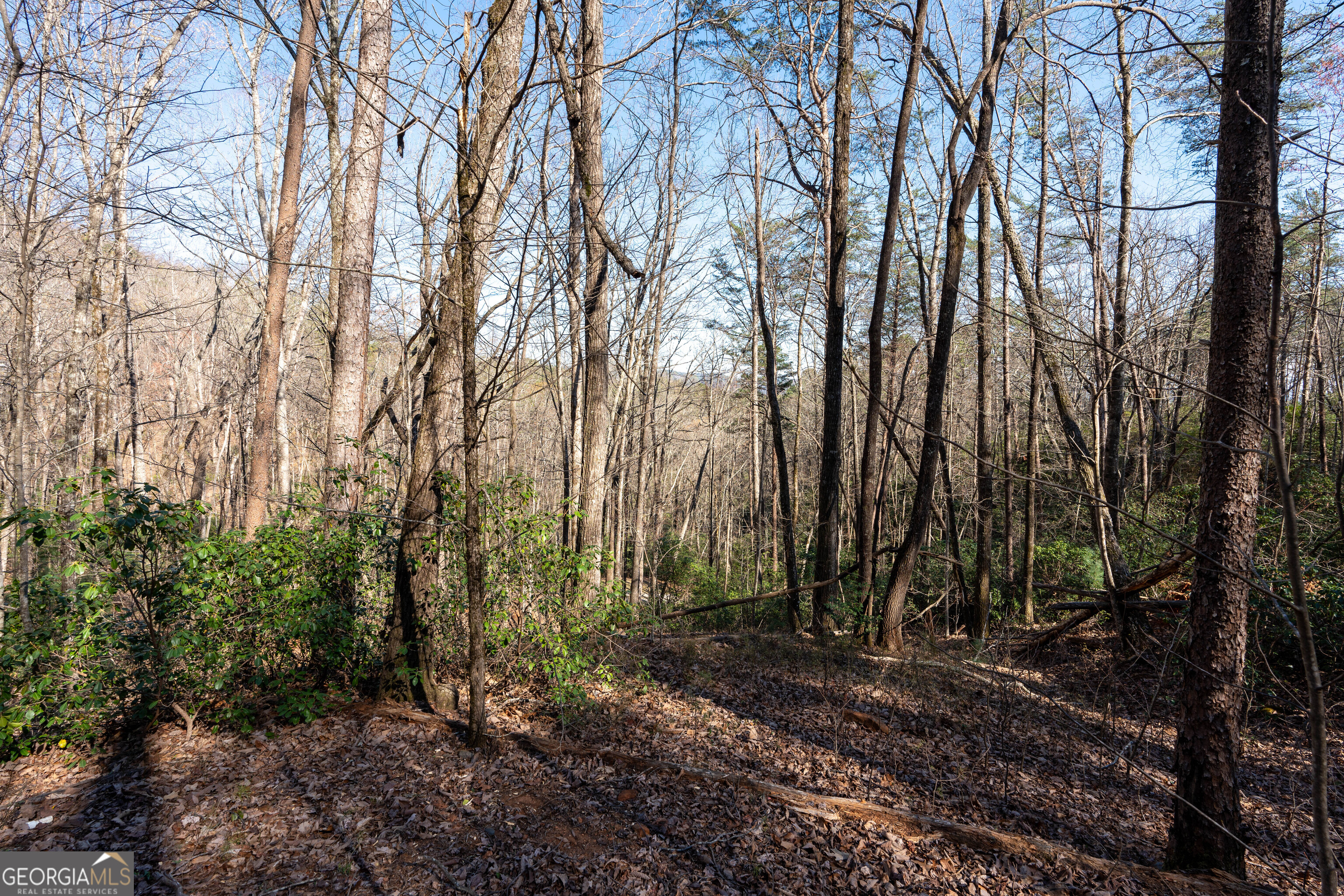6 Chimney Mountain Road Sautee Nacoochee, GA 30571 - Photo 47 of 72 a view of a forest with trees