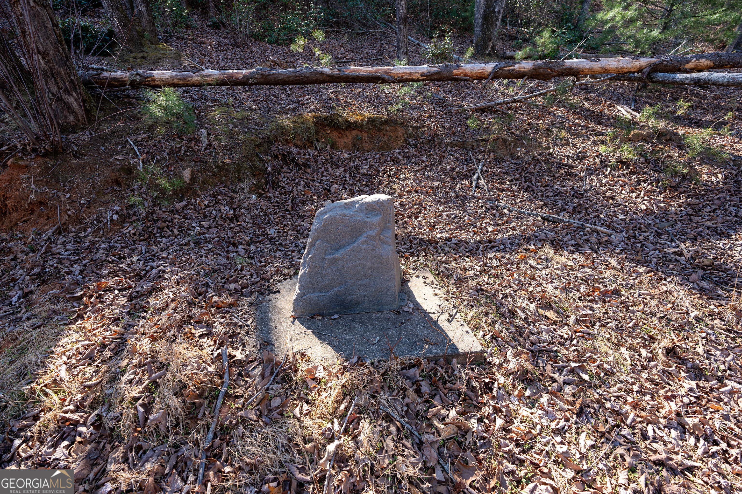 6 Chimney Mountain Road Sautee Nacoochee, GA 30571 - Photo 49 of 72