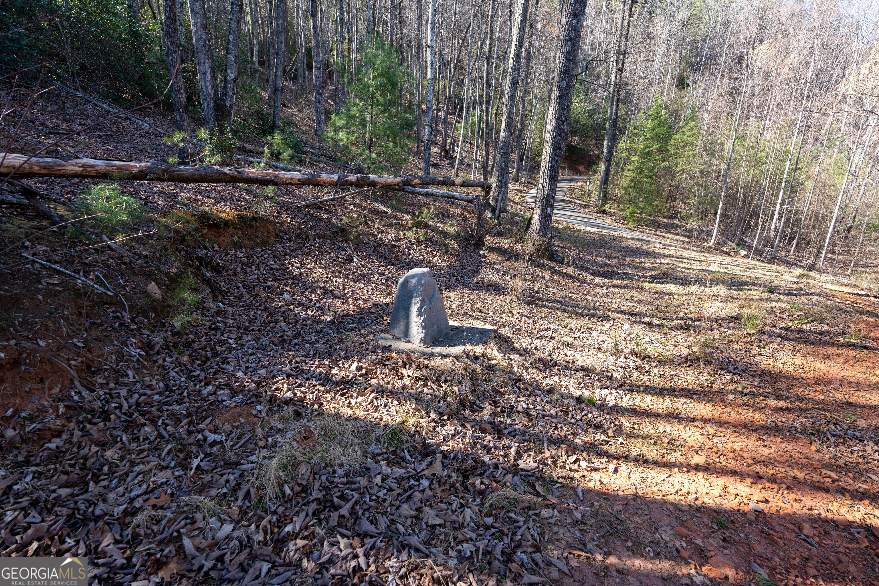 6 Chimney Mountain Road Sautee Nacoochee, GA 30571 - Photo 50 of 72 a backyard of a house with lots of green space