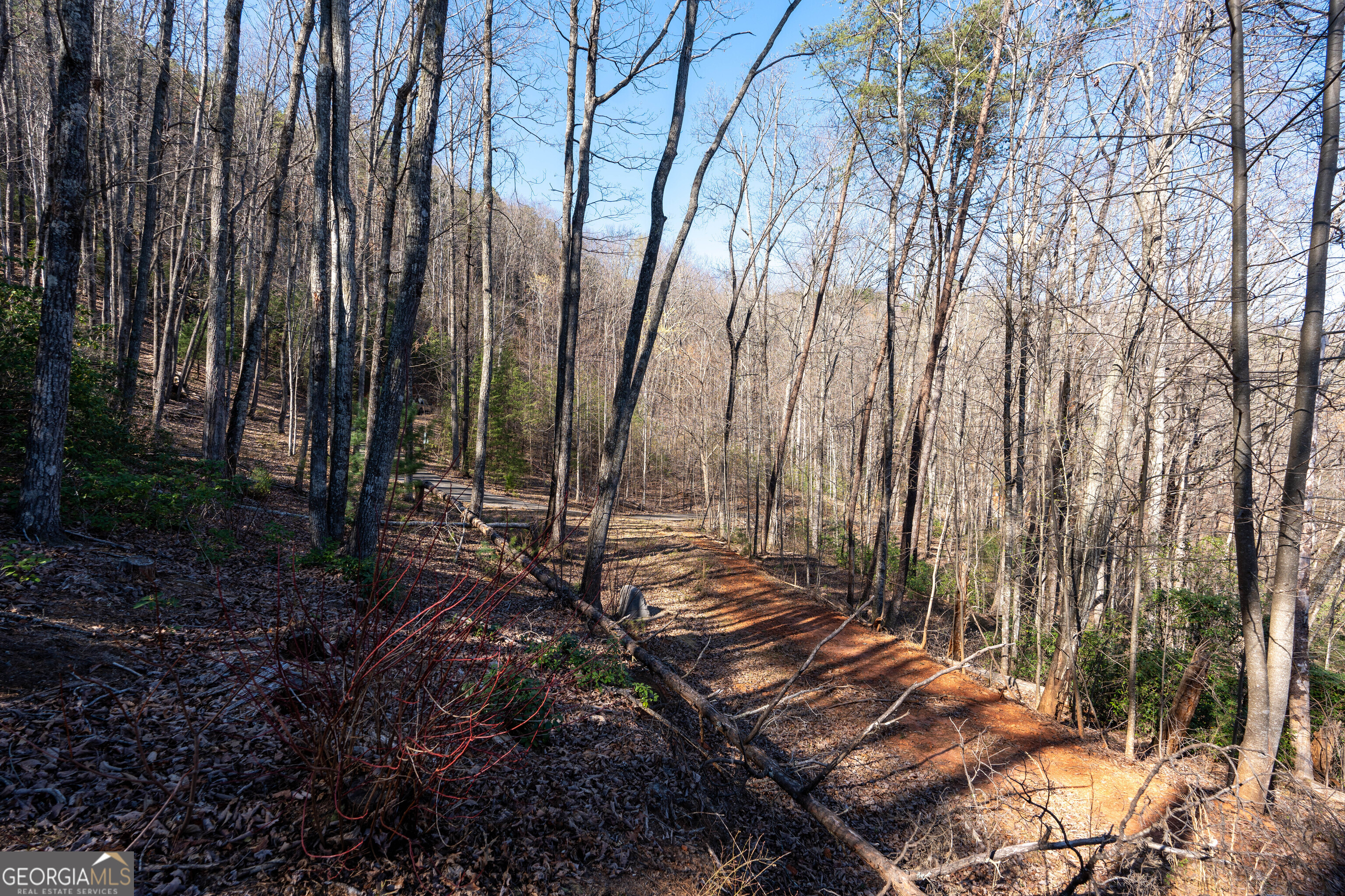 6 Chimney Mountain Road Sautee Nacoochee, GA 30571 - Photo 51 of 72