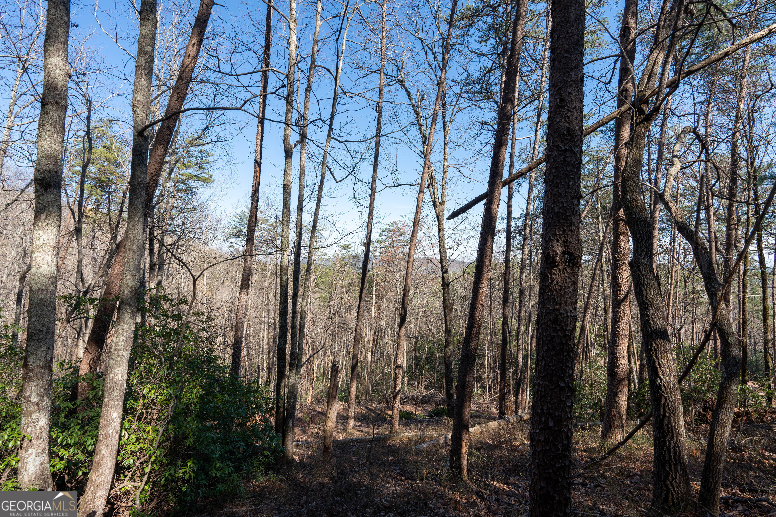 6 Chimney Mountain Road Sautee Nacoochee, GA 30571 - Photo 52 of 72