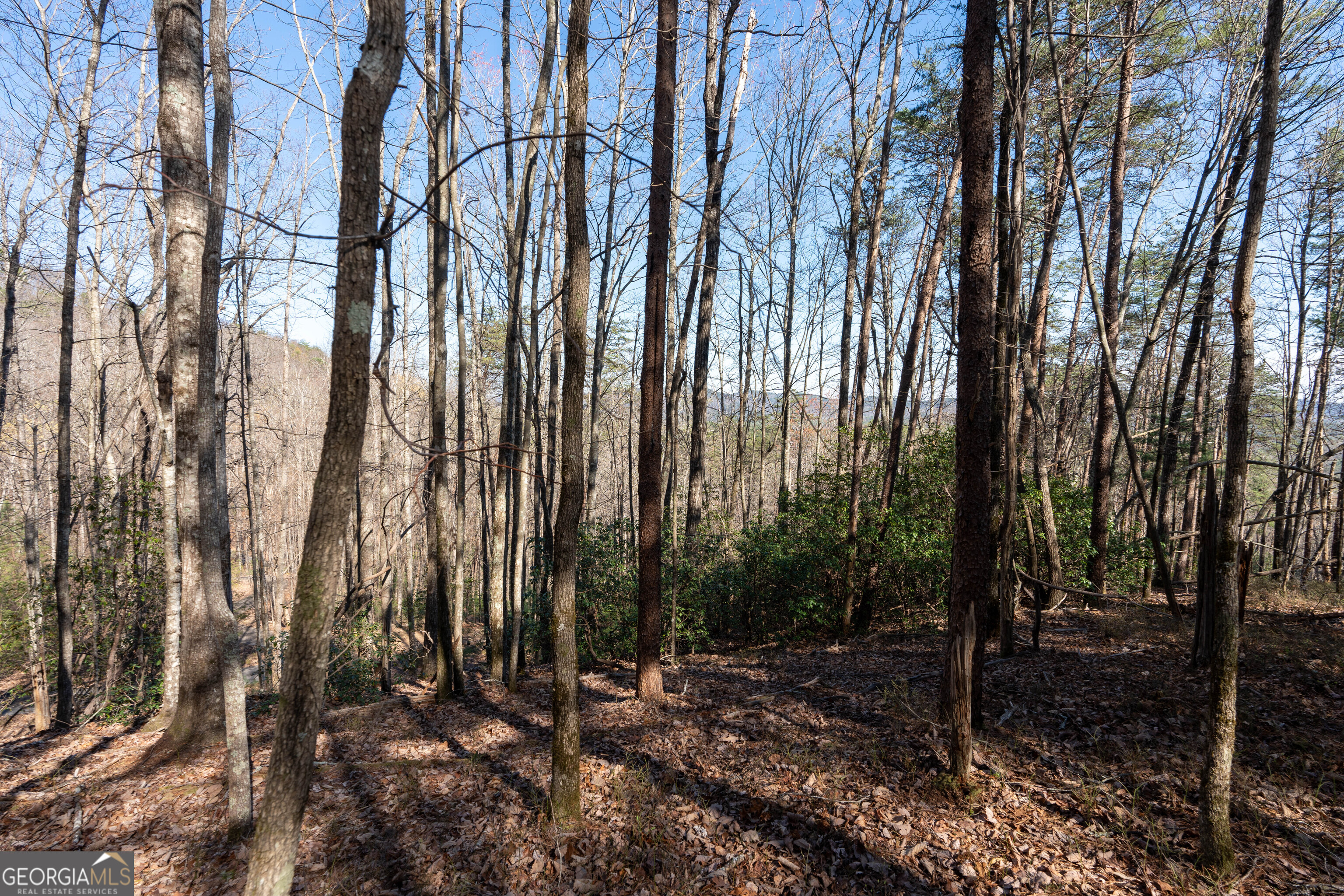6 Chimney Mountain Road Sautee Nacoochee, GA 30571 - Photo 53 of 72