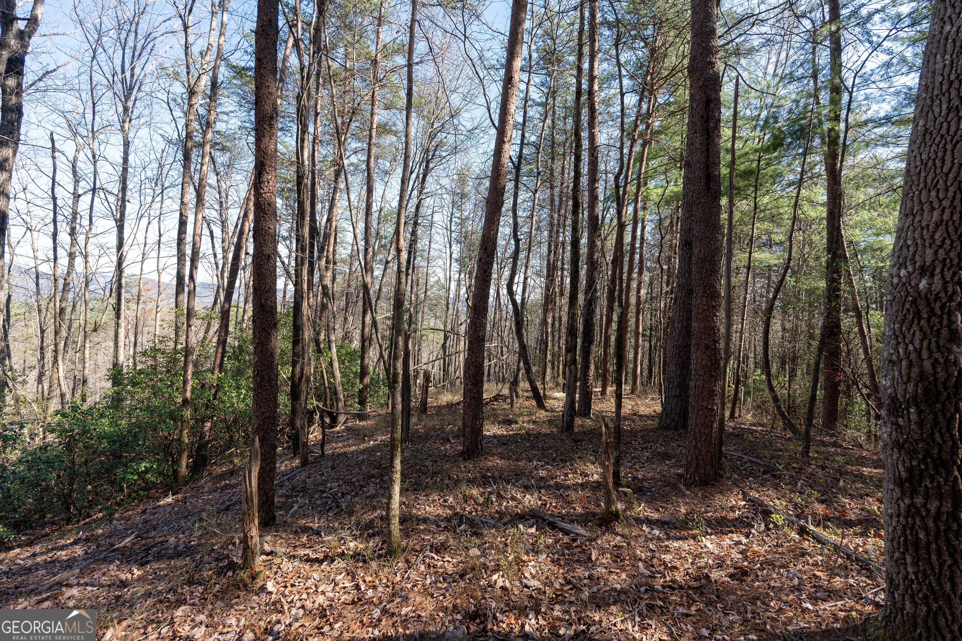 6 Chimney Mountain Road Sautee Nacoochee, GA 30571 - Photo 55 of 72 a view of outdoor space with lots of trees