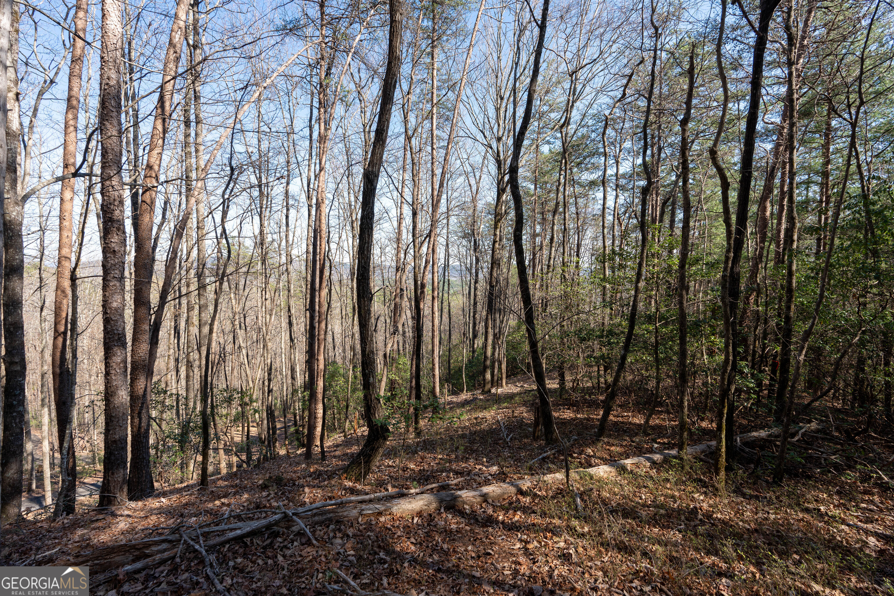 6 Chimney Mountain Road Sautee Nacoochee, GA 30571 - Photo 59 of 72 a view of outdoor space with lots of trees