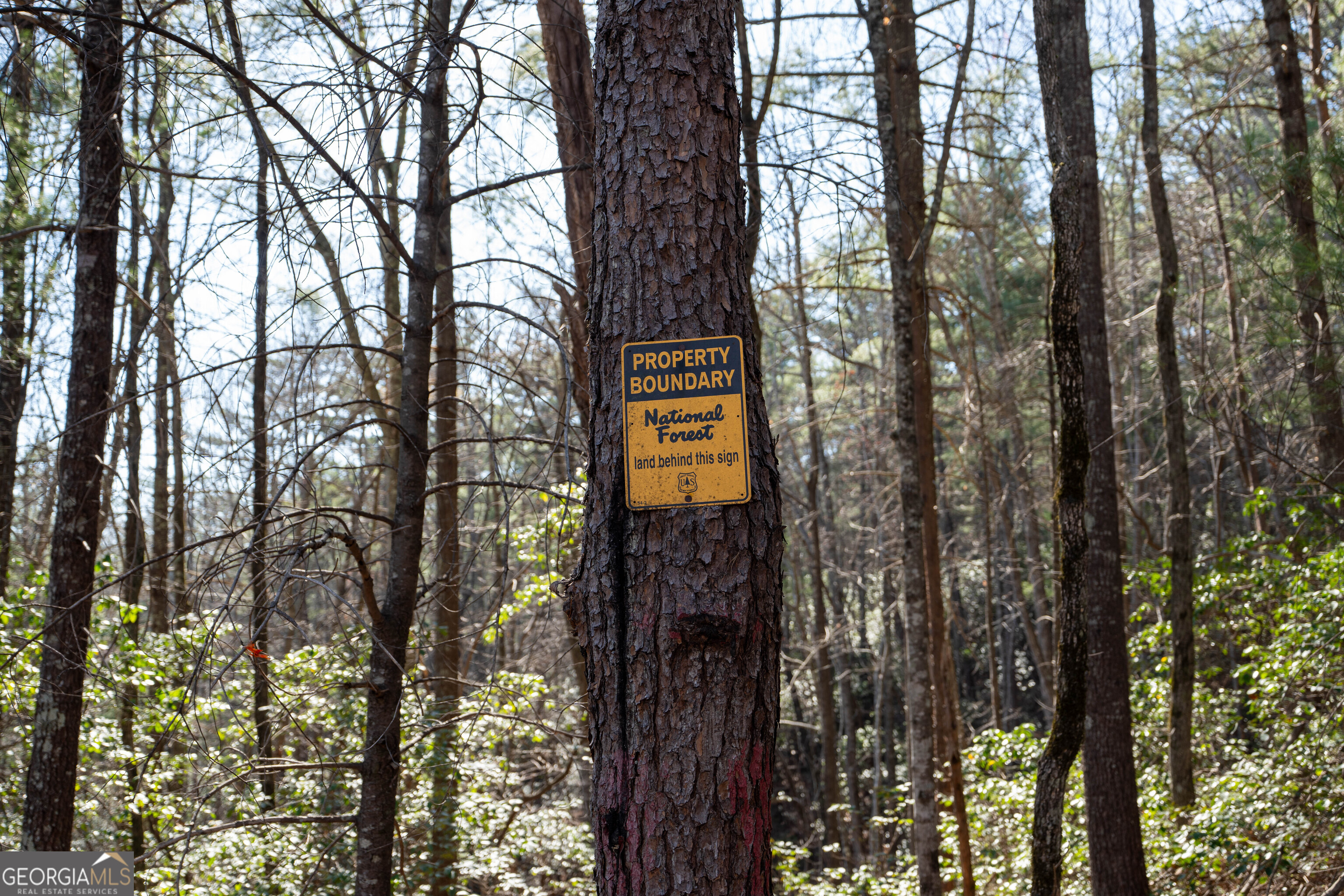 6 Chimney Mountain Road Sautee Nacoochee, GA 30571 - Photo 60 of 72 a sign that is on the side of a tree