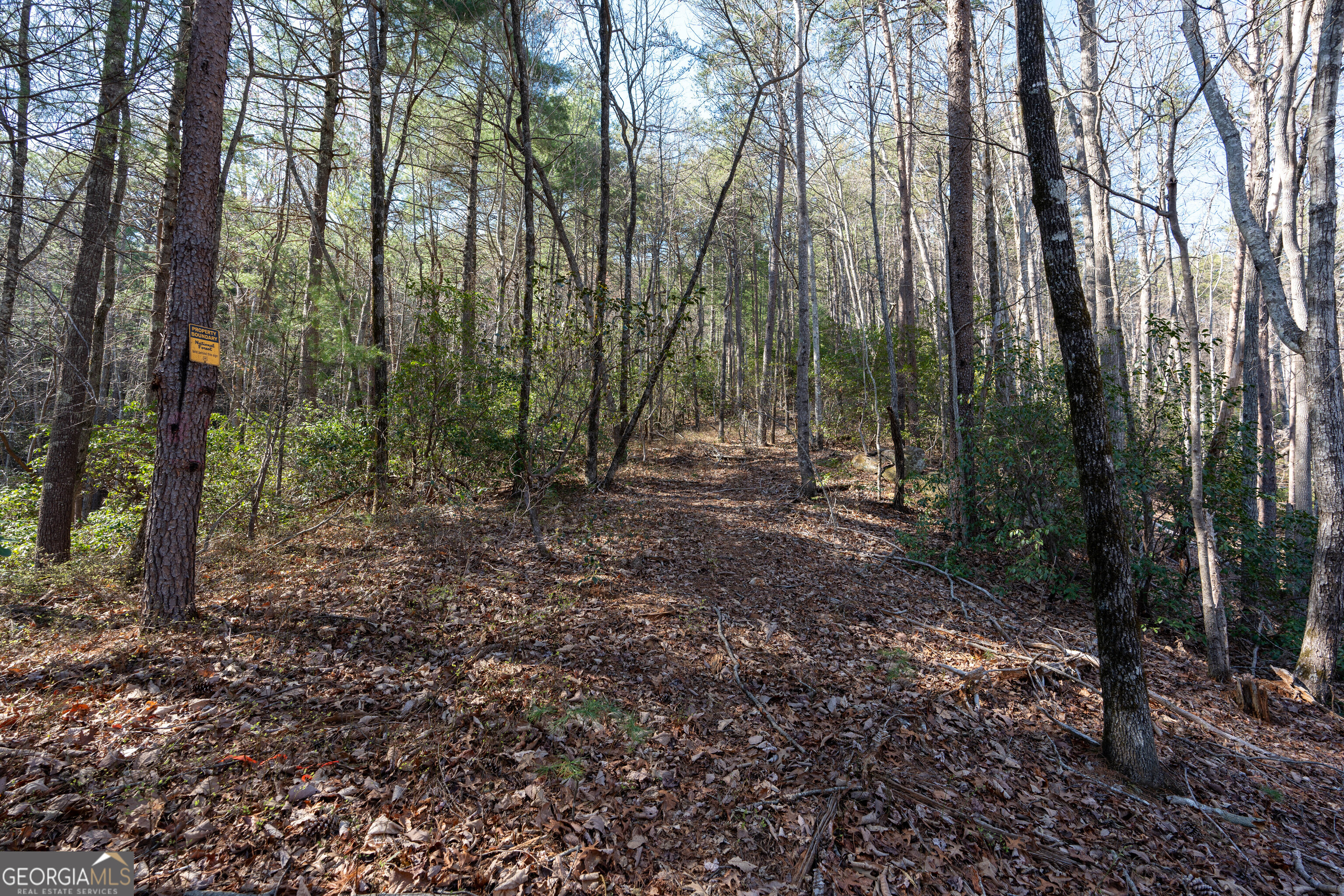 6 Chimney Mountain Road Sautee Nacoochee, GA 30571 - Photo 61 of 72 a view of outdoor space and green space