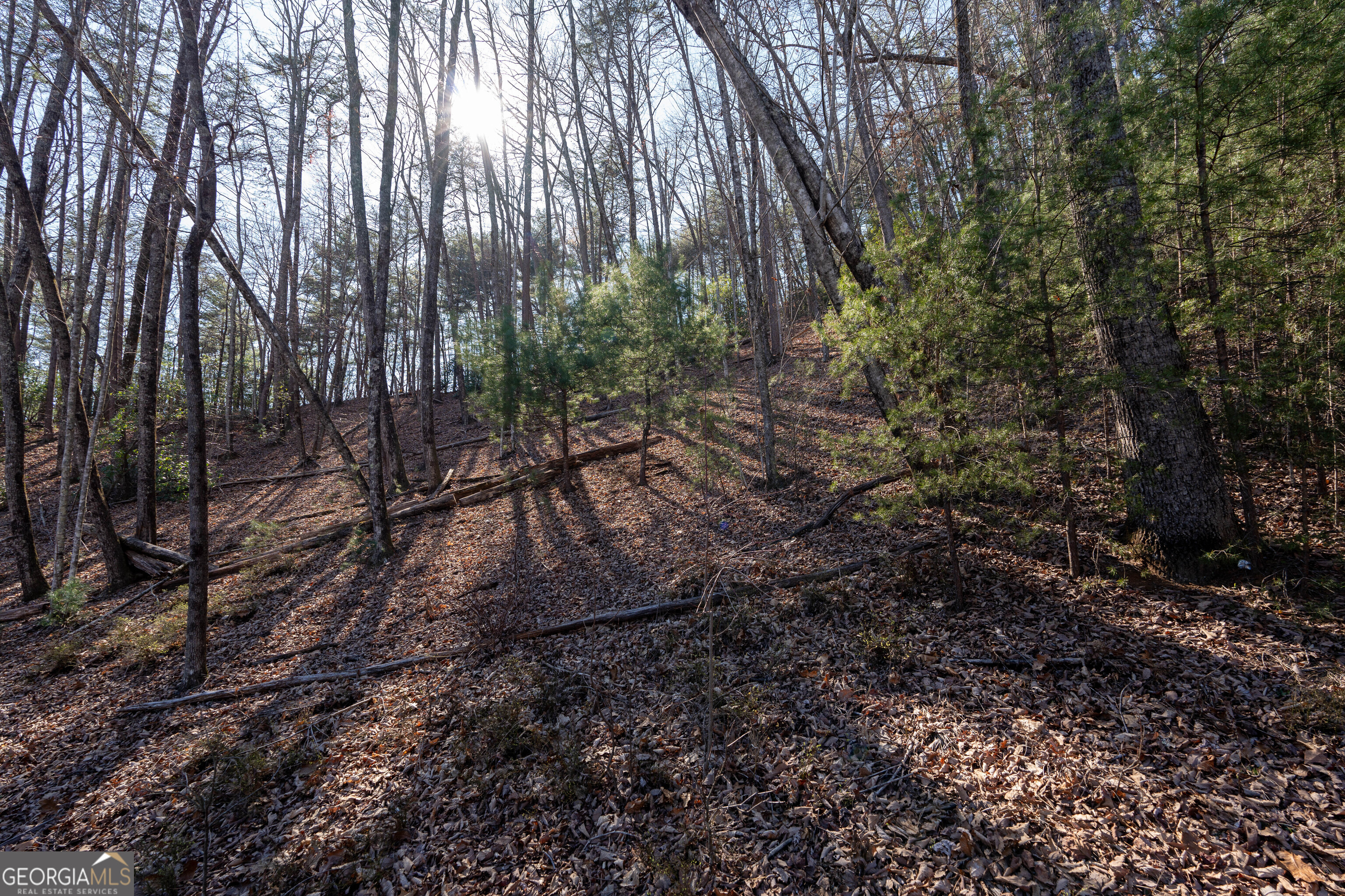 6 Chimney Mountain Road Sautee Nacoochee, GA 30571 - Photo 63 of 72