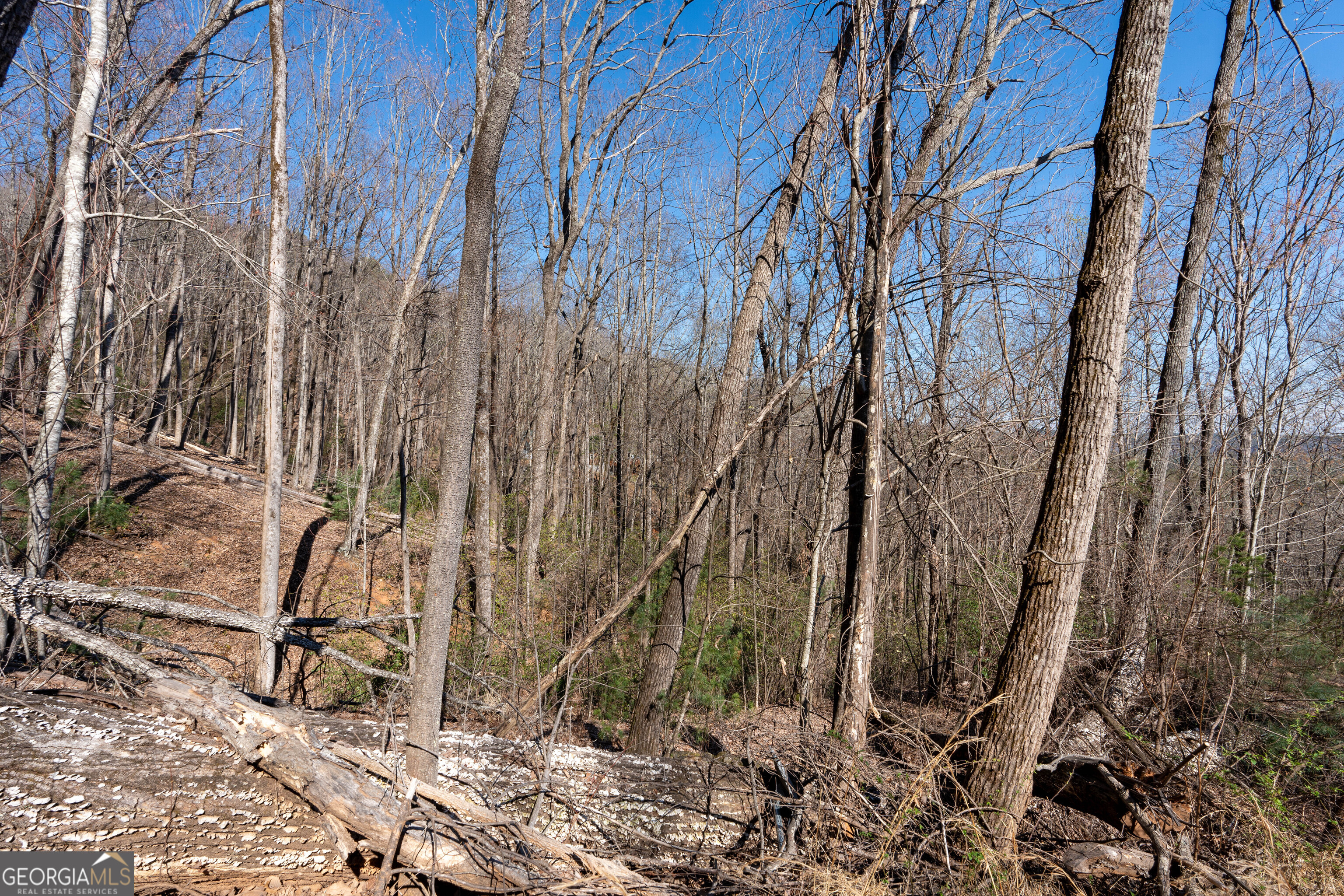 6 Chimney Mountain Road Sautee Nacoochee, GA 30571 - Photo 65 of 72 a backyard of a house