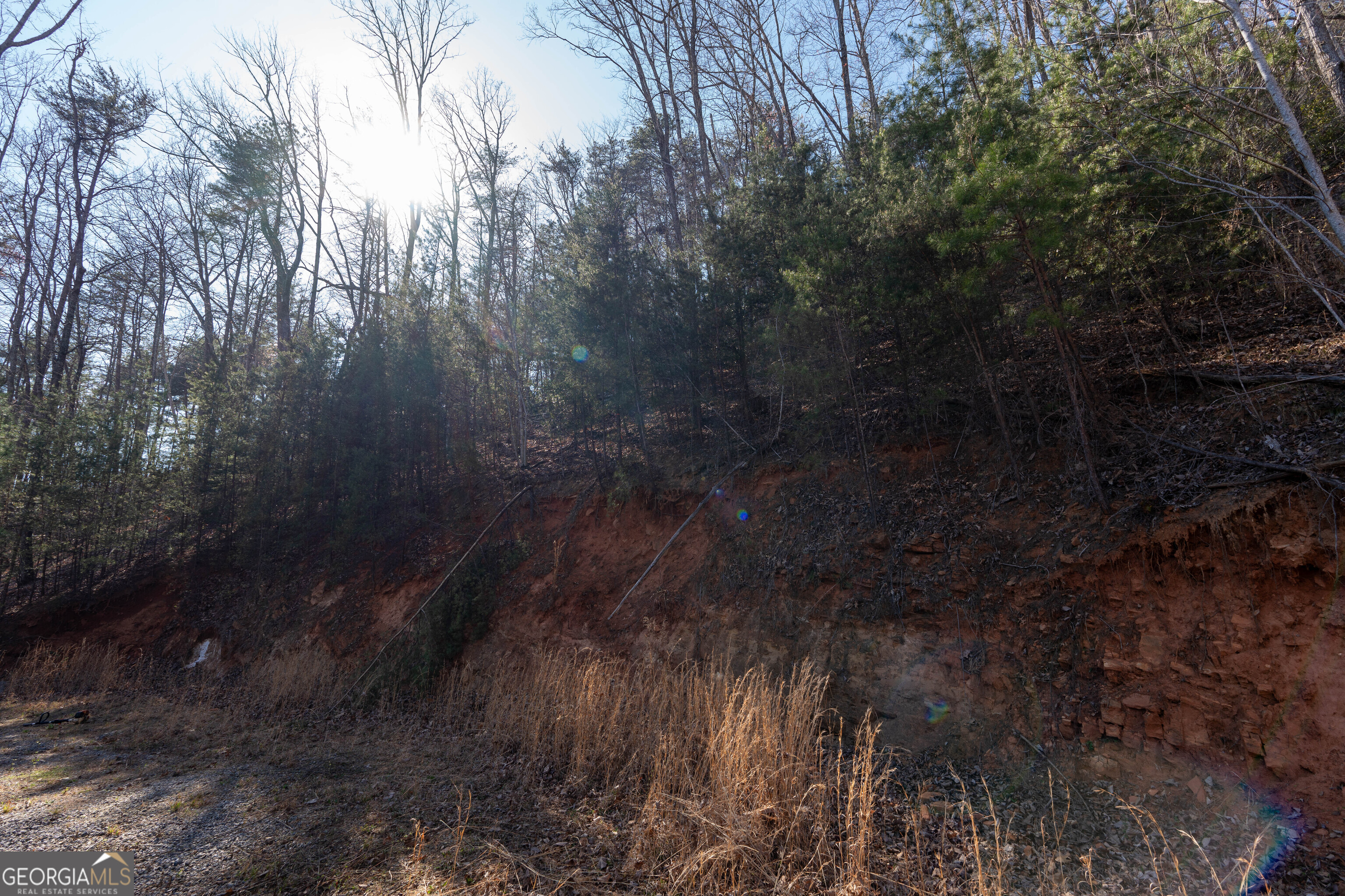 6 Chimney Mountain Road Sautee Nacoochee, GA 30571 - Photo 66 of 72 a view of outdoor space and green space