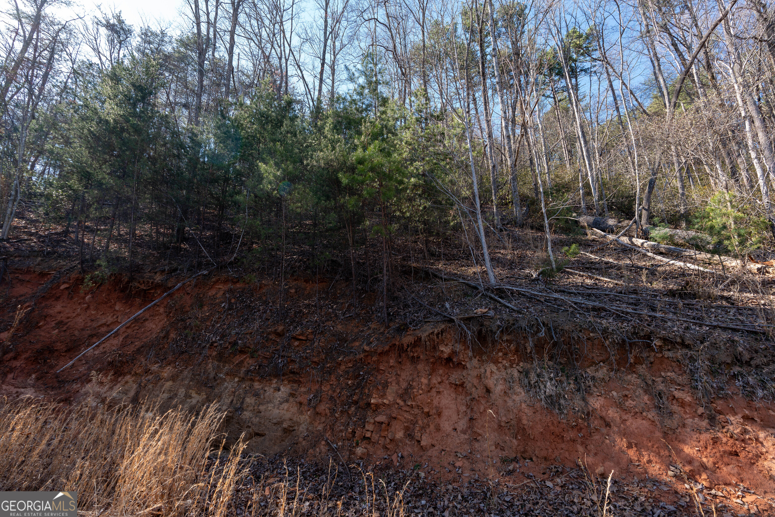 6 Chimney Mountain Road Sautee Nacoochee, GA 30571 - Photo 67 of 72 a view of a yard with lots of trees
