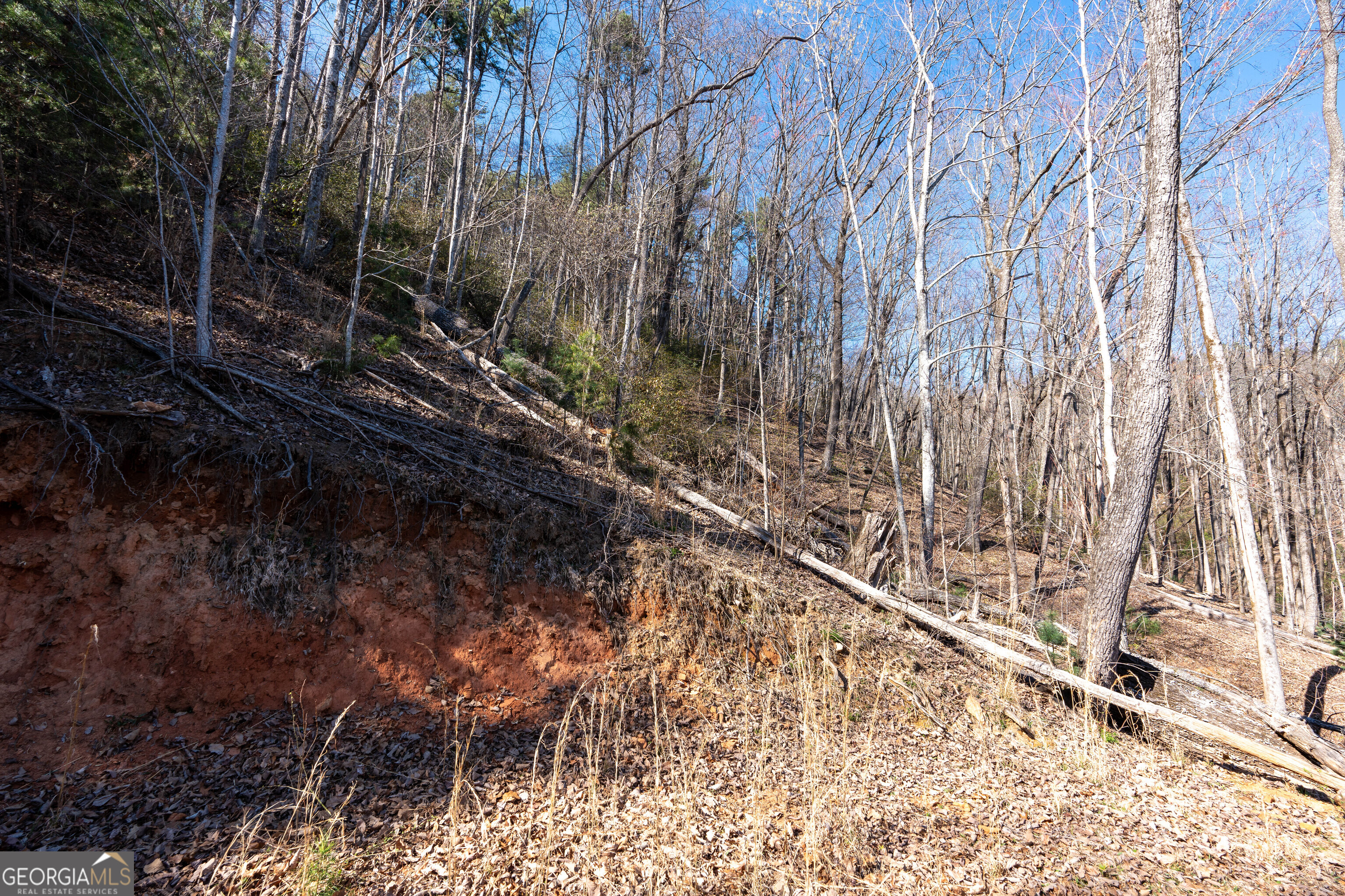 6 Chimney Mountain Road Sautee Nacoochee, GA 30571 - Photo 68 of 72 a backyard of a house with lots of green space