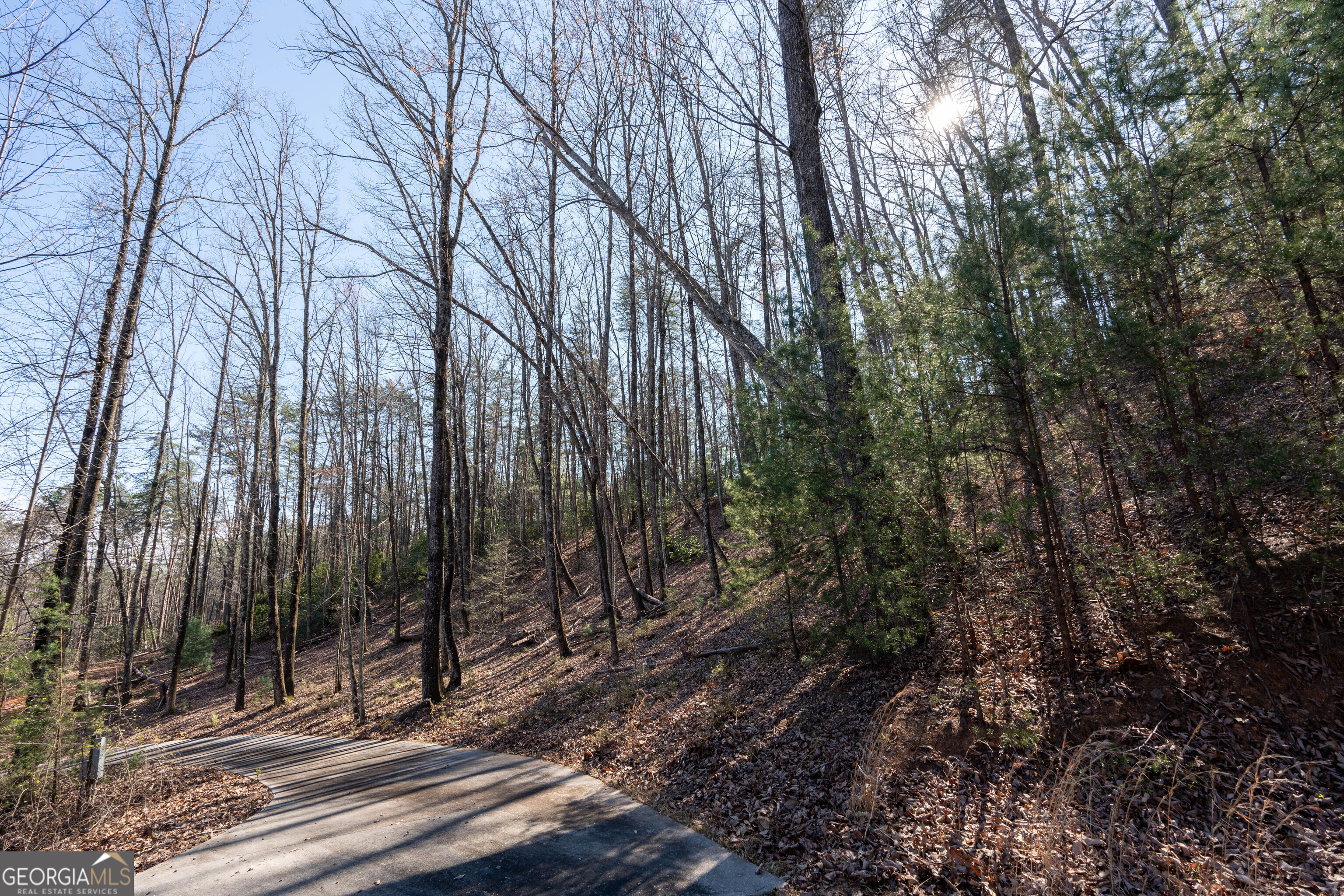 6 Chimney Mountain Road Sautee Nacoochee, GA 30571 - Photo 71 of 72 a view of a backyard with a trees