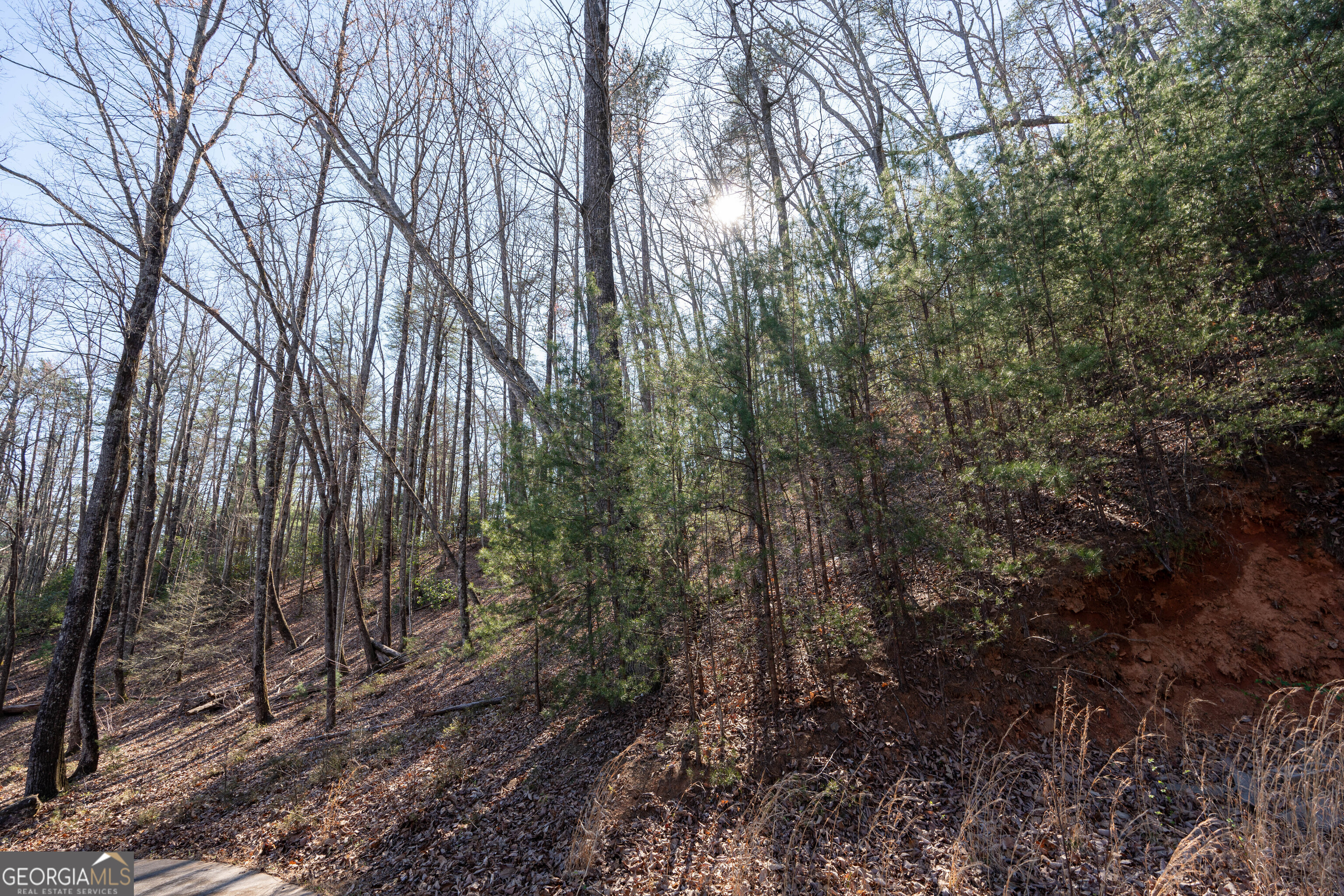 6 Chimney Mountain Road Sautee Nacoochee, GA 30571 - Photo 72 of 72 a view of forest