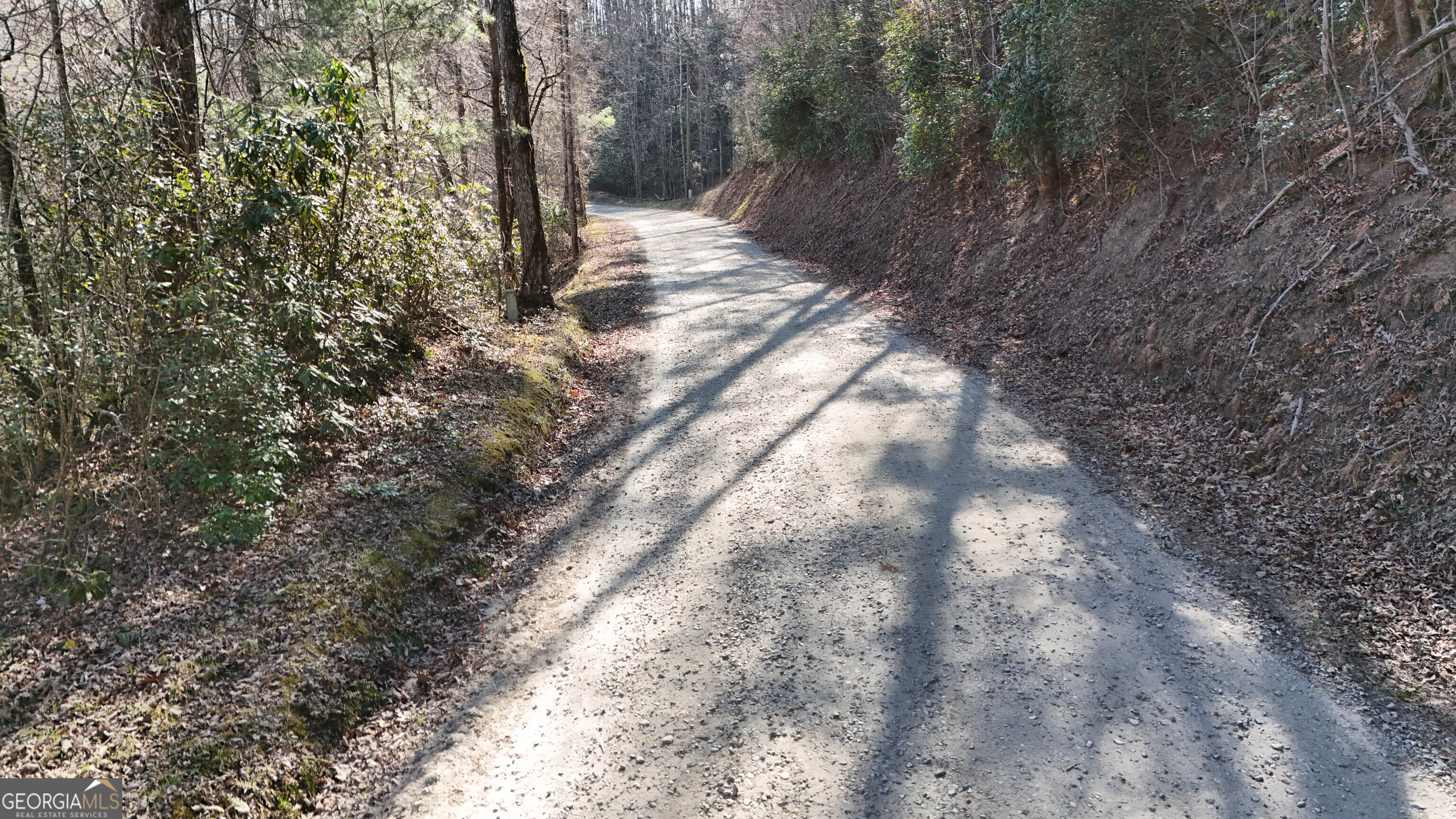 6 Chimney Mountain Road Sautee Nacoochee, GA 30571 - Photo 10 of 72 a view of forest