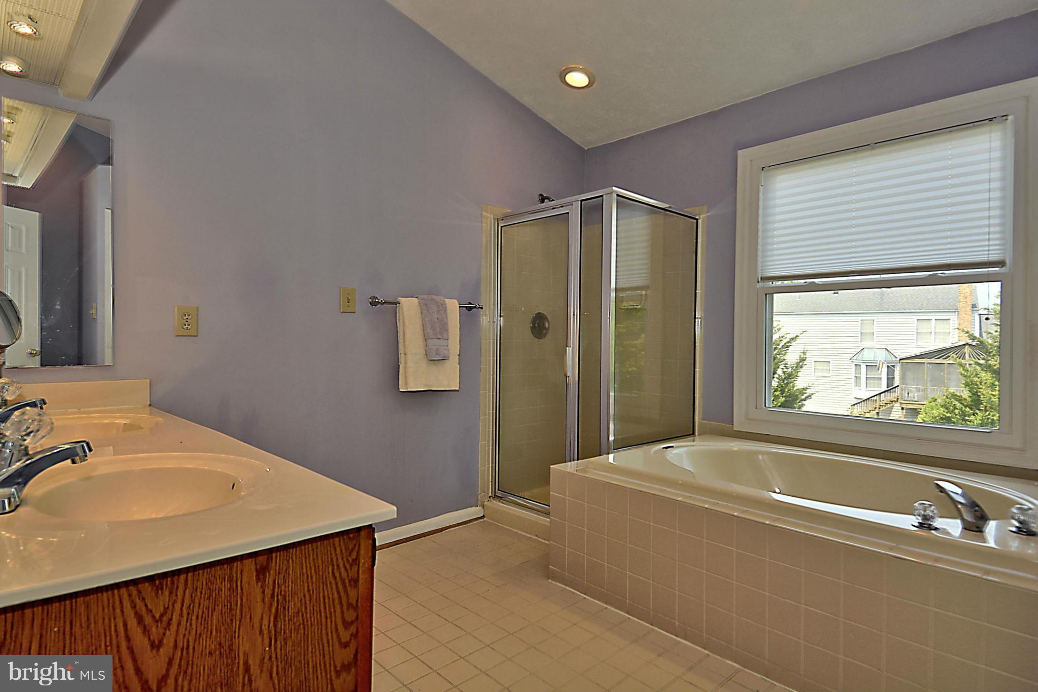 17245 Spates Hill Road Poolesville, MD 20837 - Photo 19 of 30 Bath (Master)