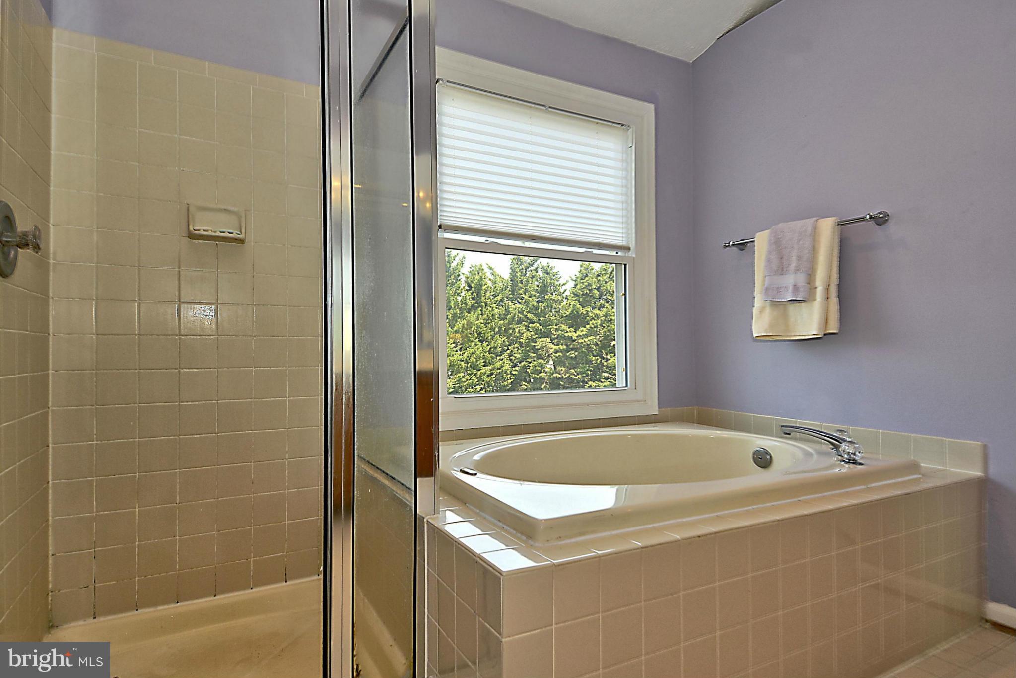 17245 Spates Hill Road Poolesville, MD 20837 - Photo 20 of 30 Bath (Master)