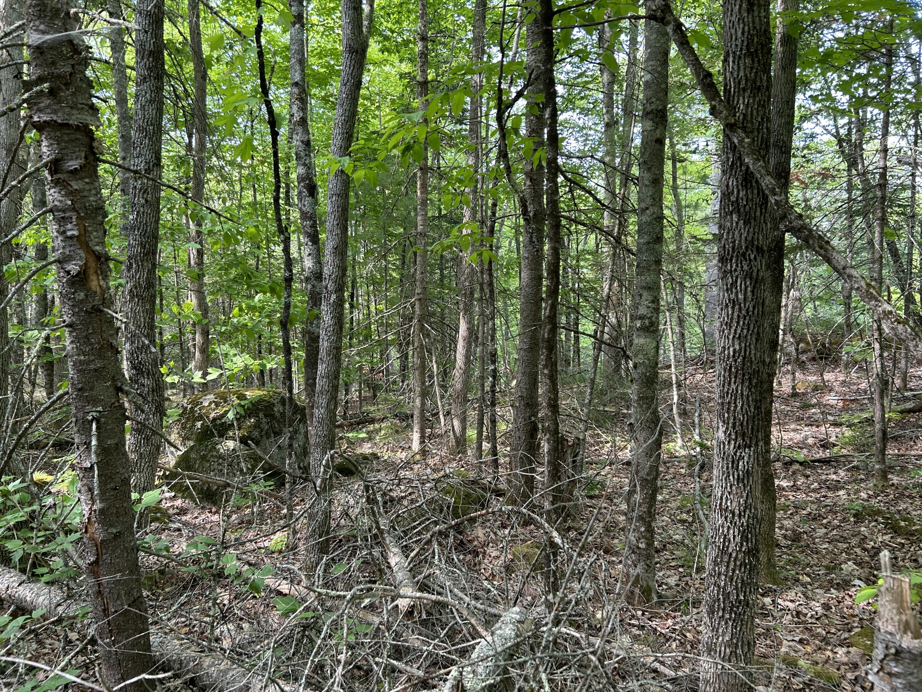 M5-l16 Clark Road Prospect, ME 04981 - Photo 14 of 45 IMG_8753
