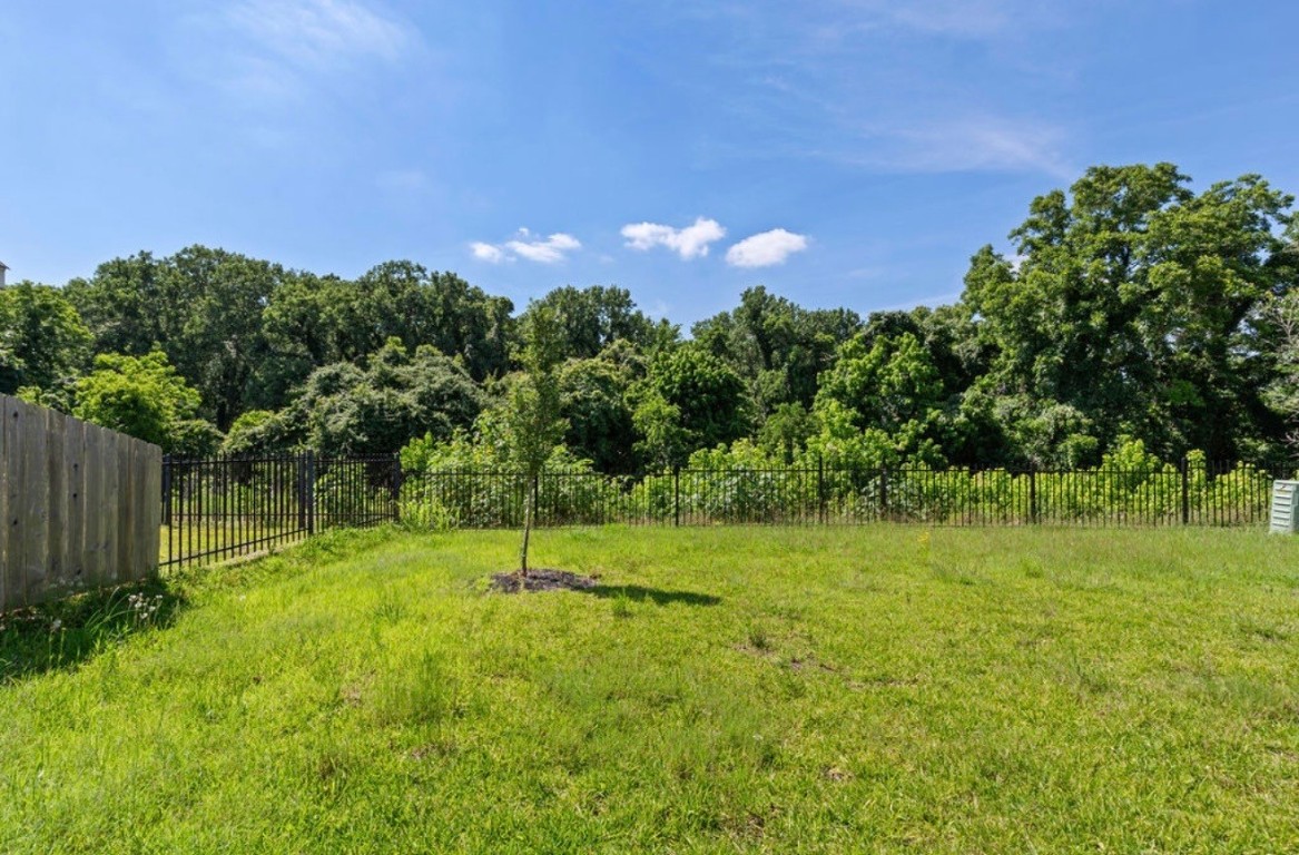 5319 Rivers Edge Drive Richmond, TX 77469 - Photo 23 of 24 a backyard of a house with lots of green space