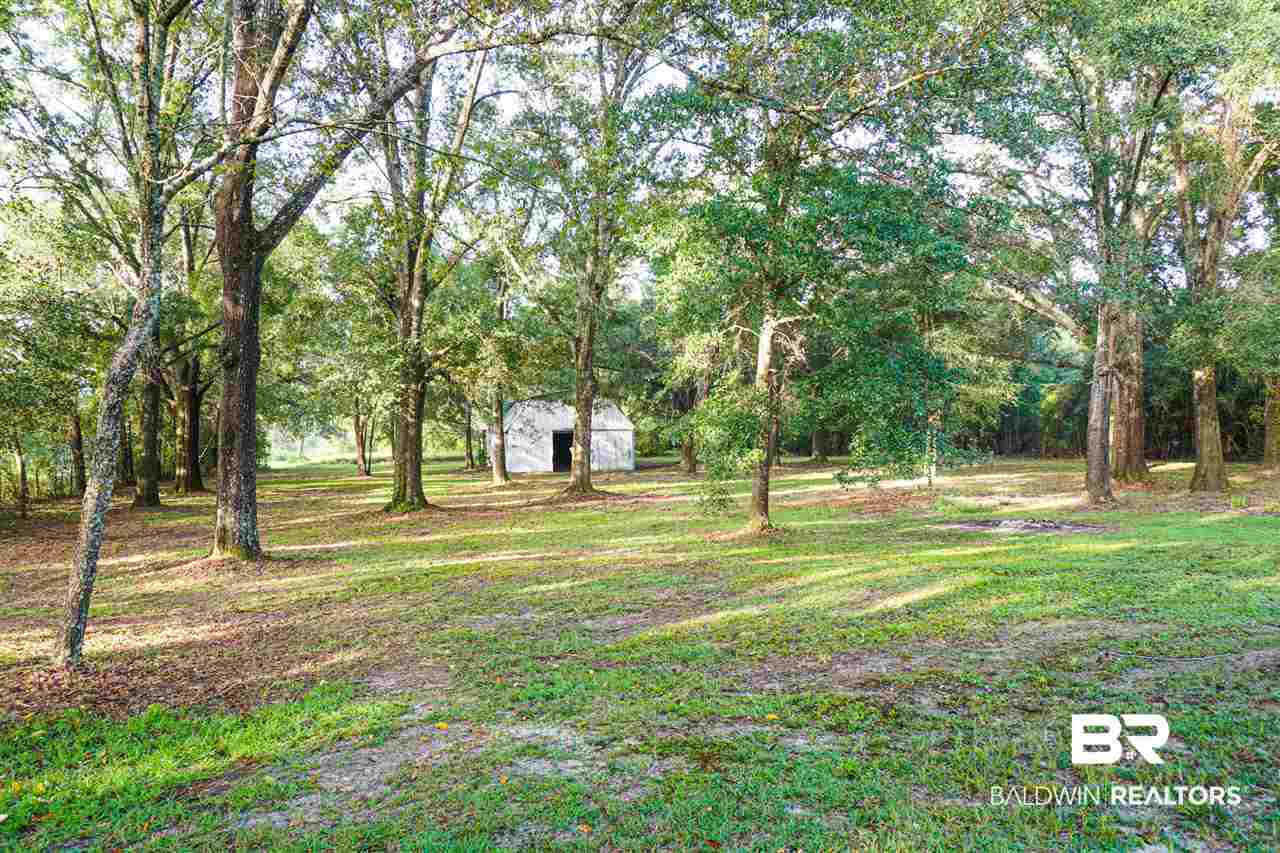 5541 Dogwood Trail Eight Mile, AL 36613 - Photo 19 of 26