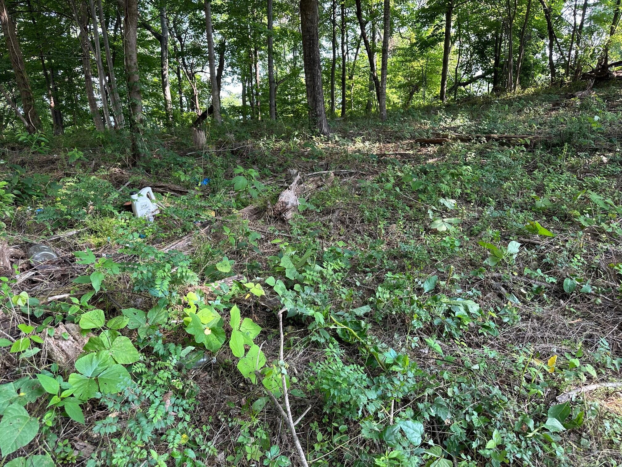 0 Black Oak Estates Road Dayton, TN 37321 - Photo 2 of 6 Gallery Image 2