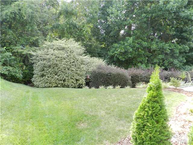 6831 Spanglers Spring Way Raleigh, NC 27610 - Photo 22 of 25 a view of a yard with a tree