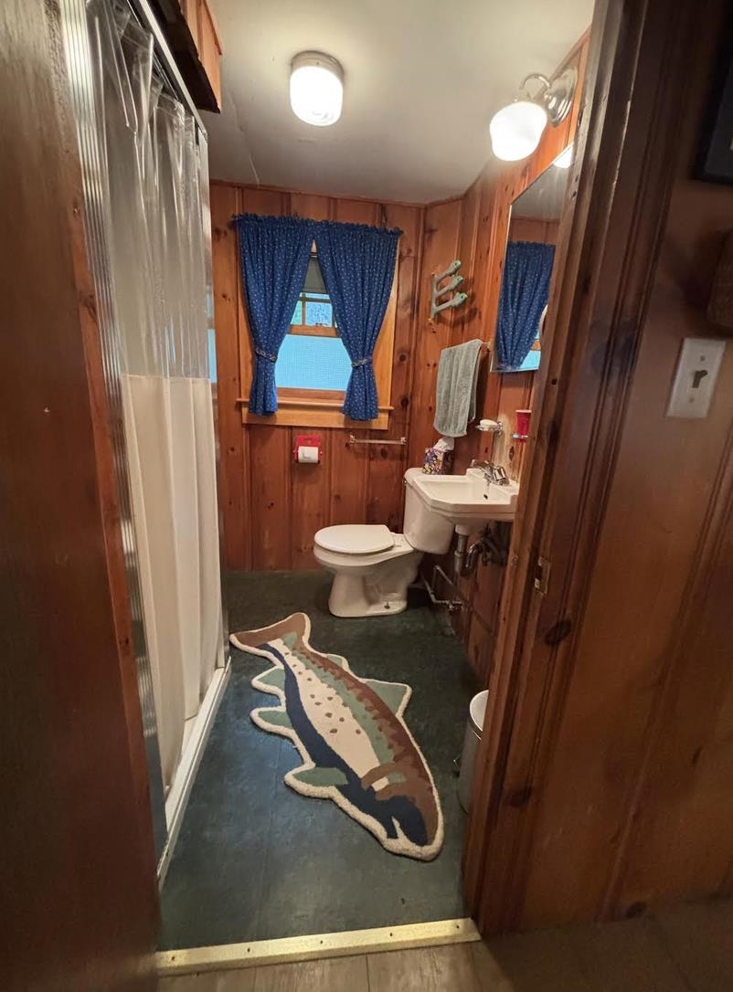 191 Veazey Cove Road Wakefield, NH 03872 - Photo 26 of 60