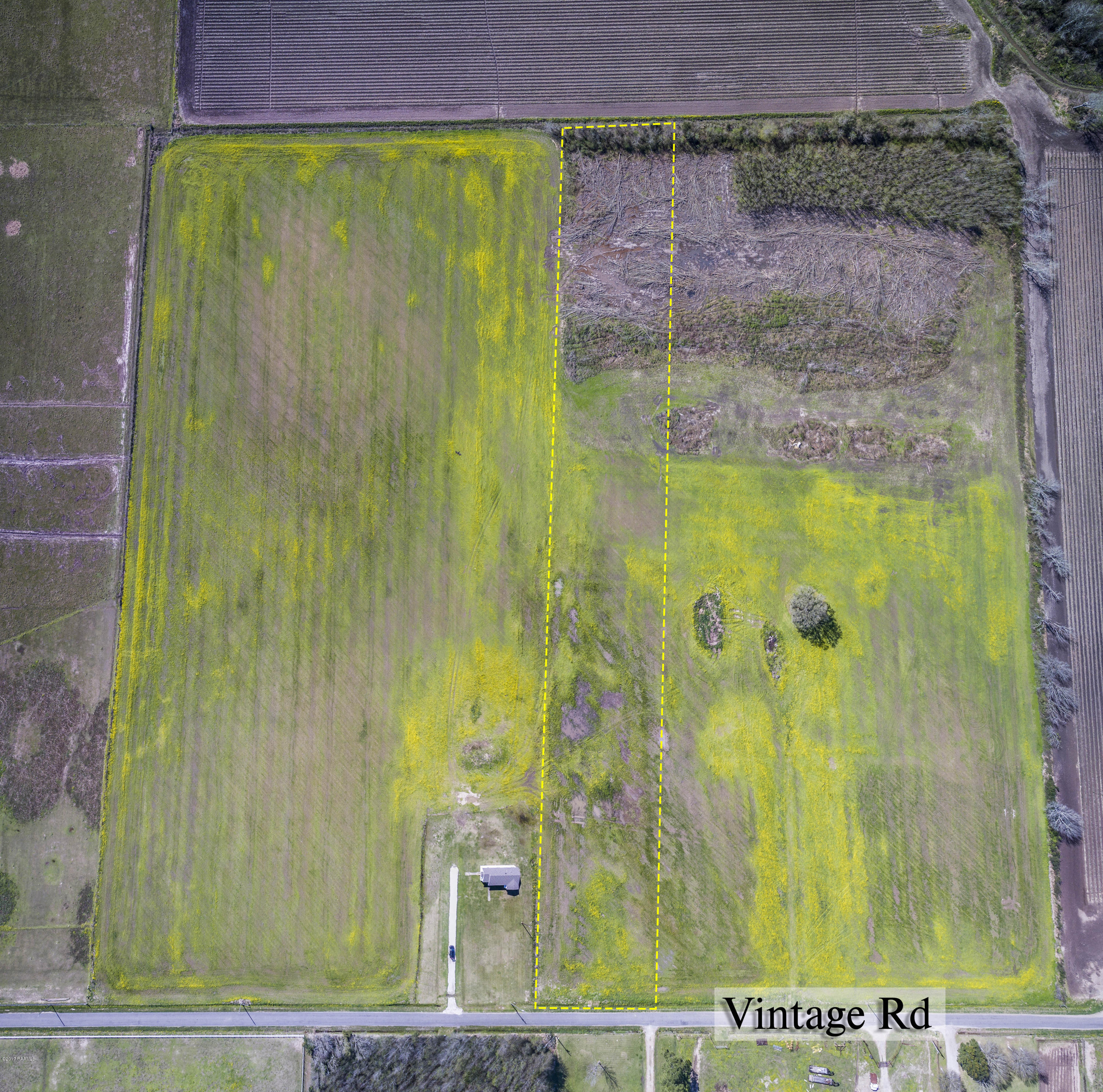 4 Vintage Road Church Point, LA 70525 - Photo 2 of 6 Gallery Image 2