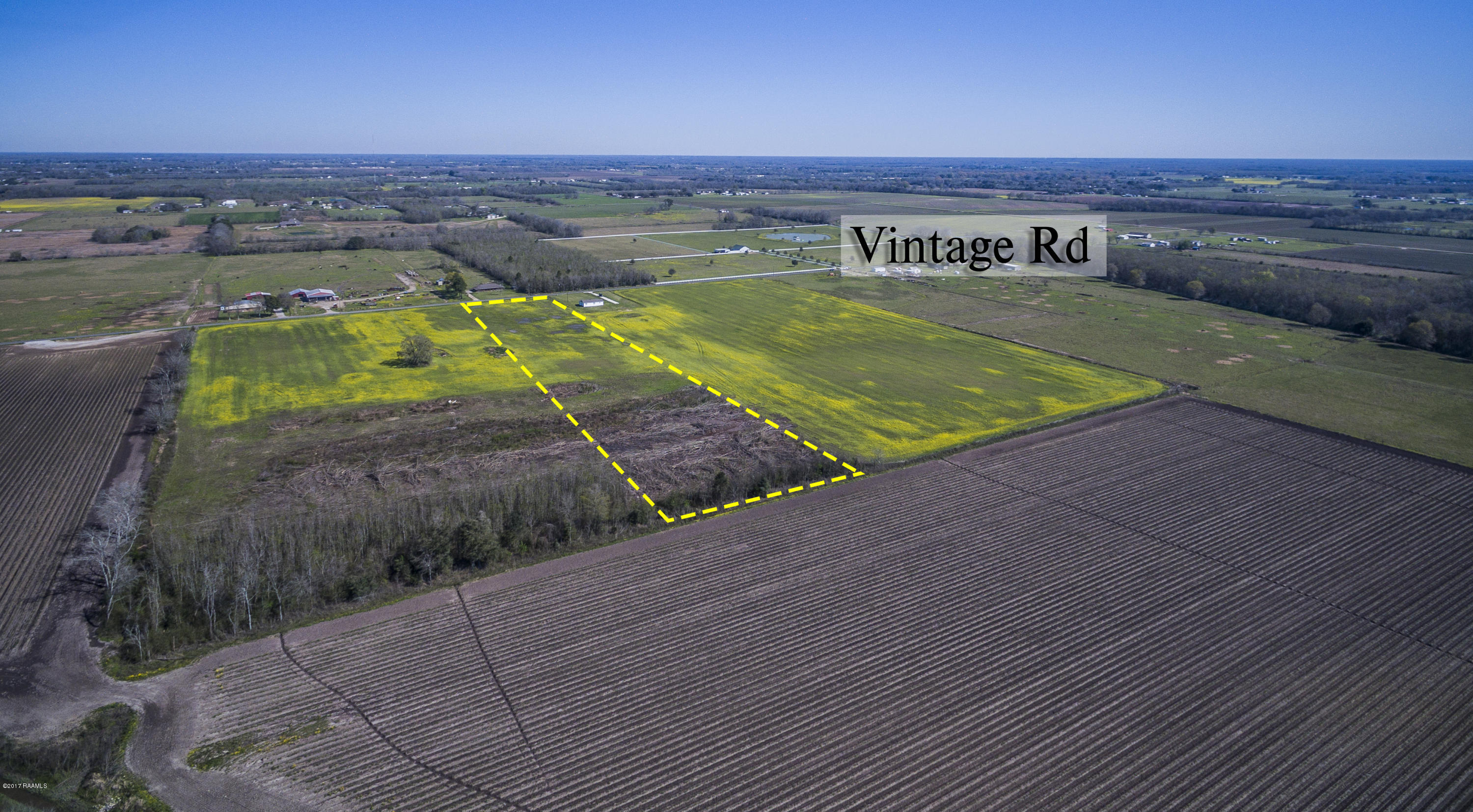 4 Vintage Road Church Point, LA 70525 - Photo 4 of 6 Gallery Image 4