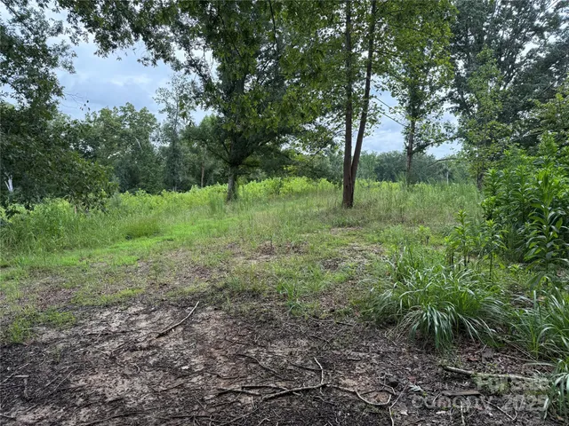 a big yard with lots of green space and deers