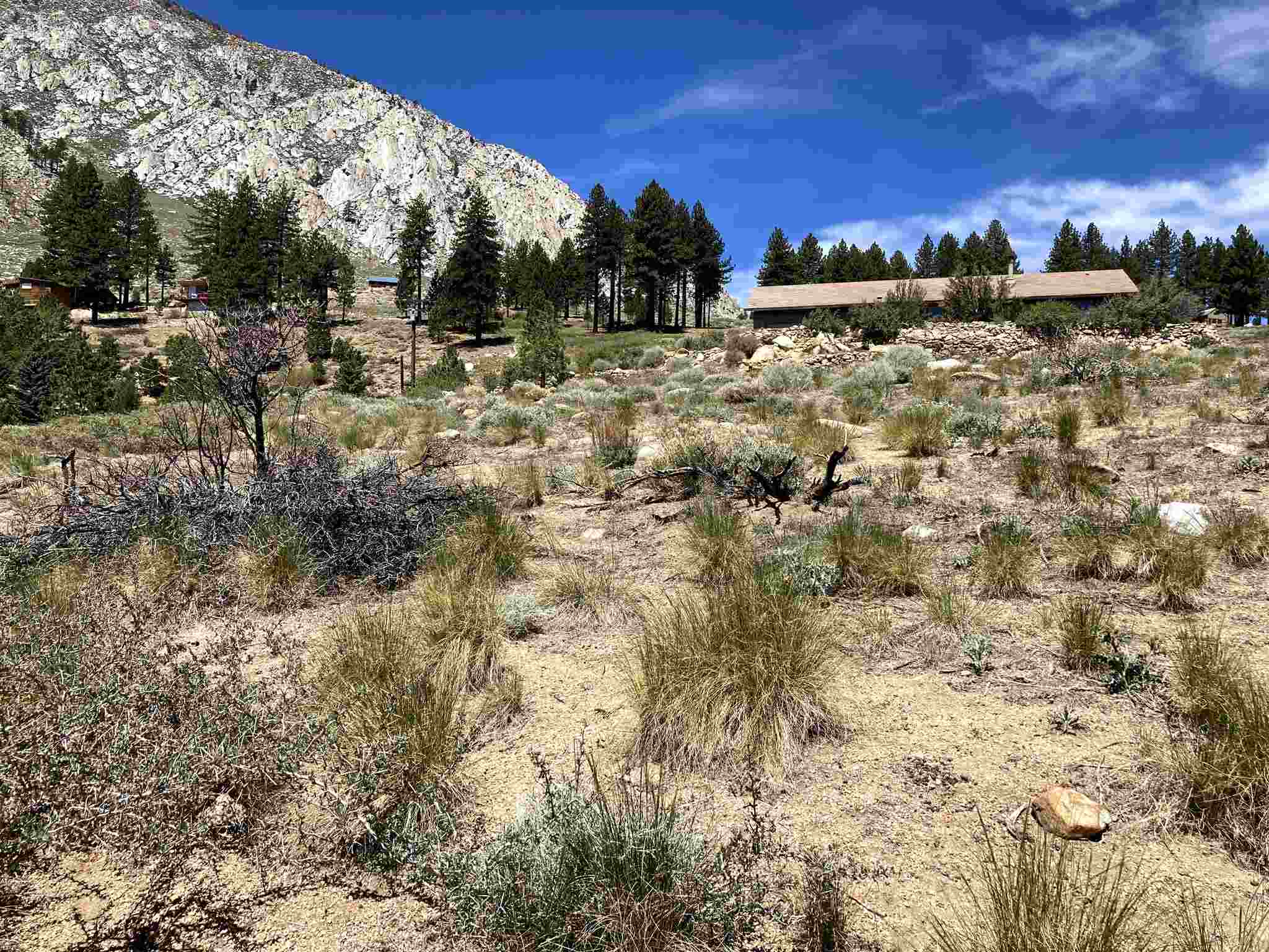 9 Mountain View Road Bishop, CA 93514 - Photo 11 of 20