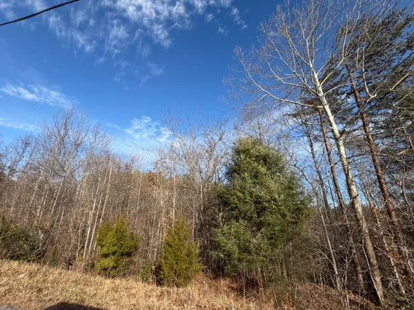 $4,000 | Lot 10 A Pine Valley Road, Bassett, VA 24055