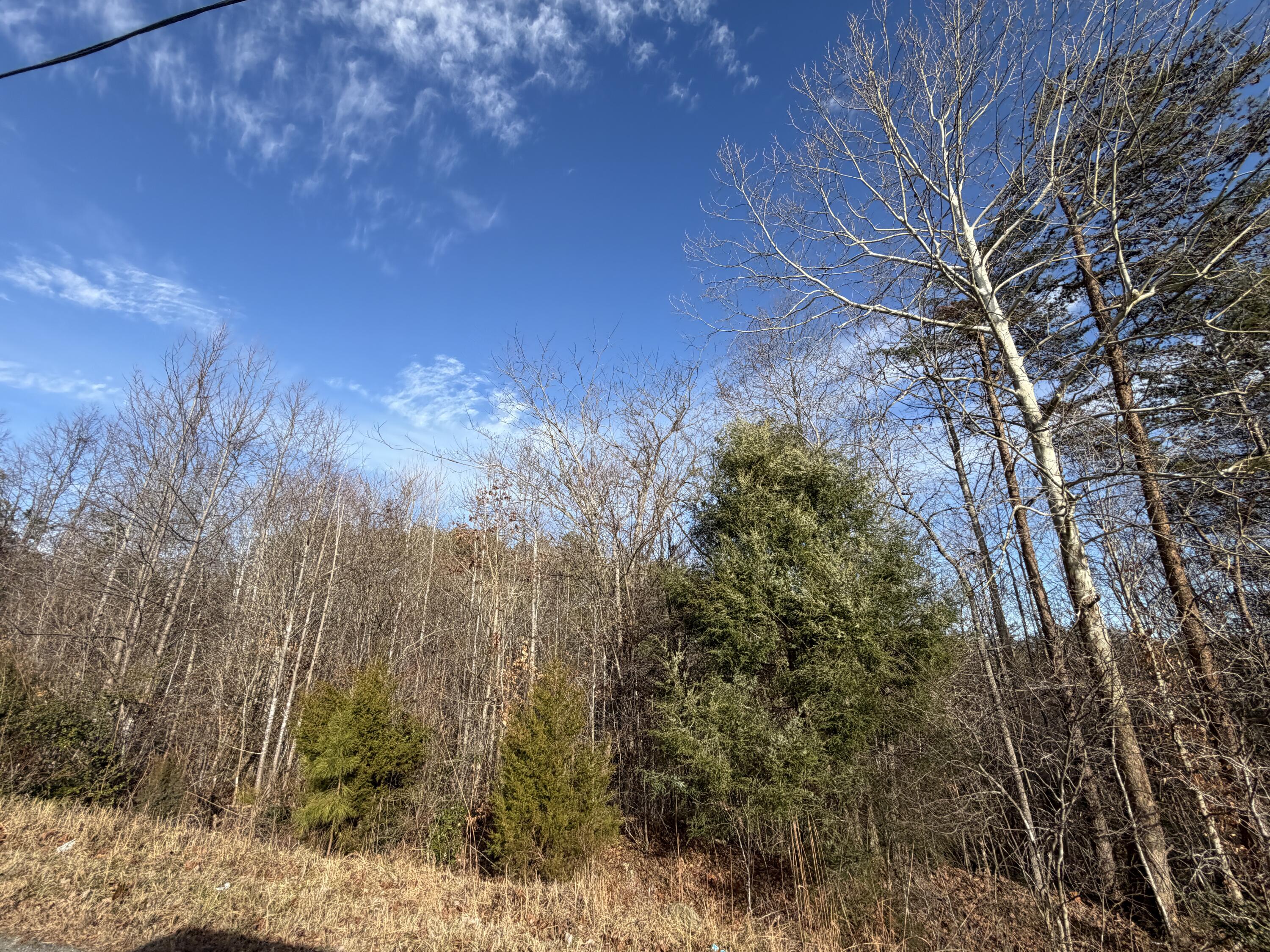 Lot 10 A Pine Valley Road Bassett, VA 24055 - Photo 2 of 2 Lot 10A