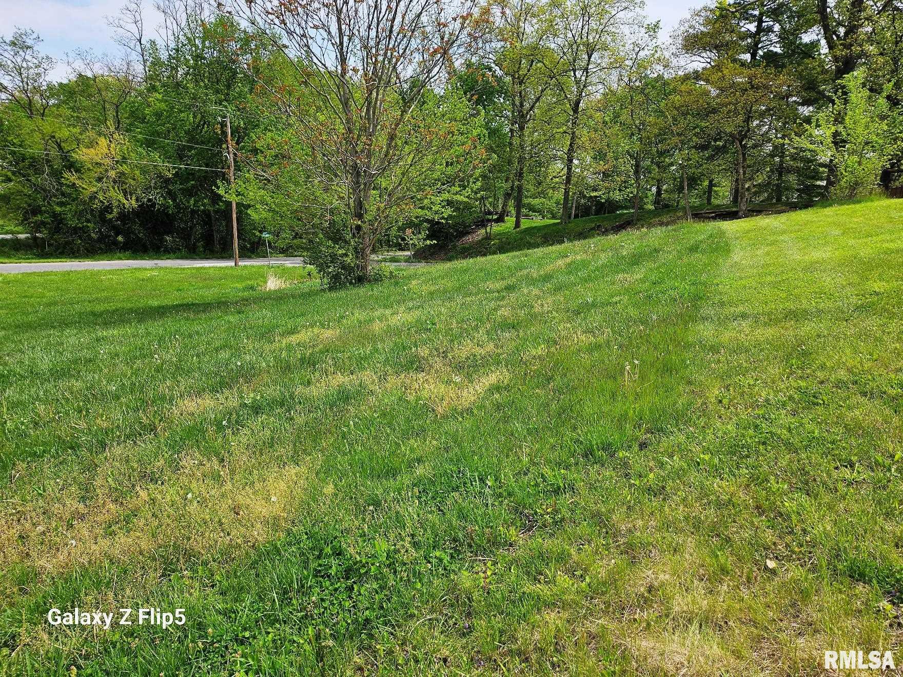 2-4 Ravine Street Carlinville, IL 62626 - Photo 4 of 9