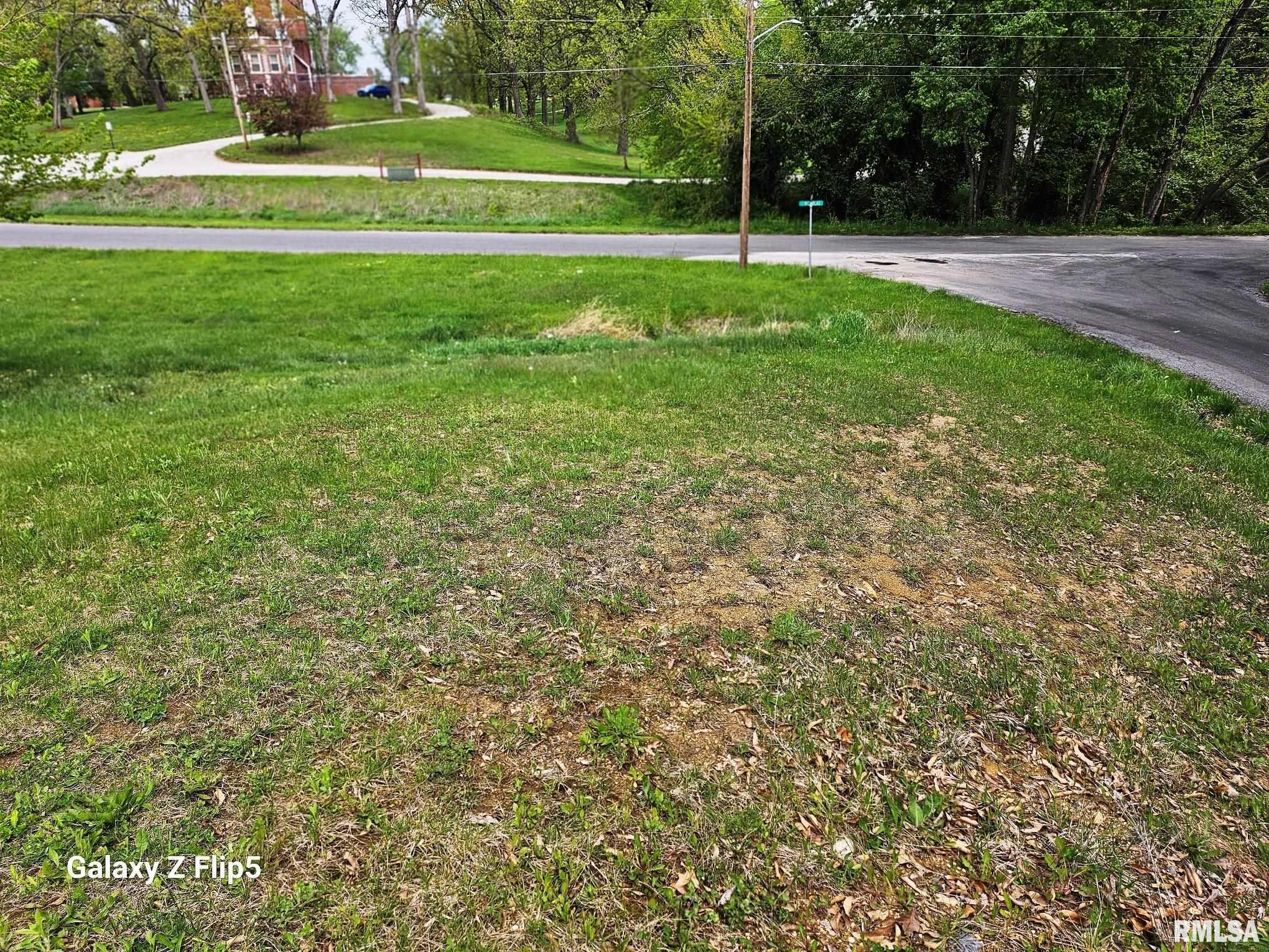 2-4 Ravine Street Carlinville, IL 62626 - Photo 5 of 9